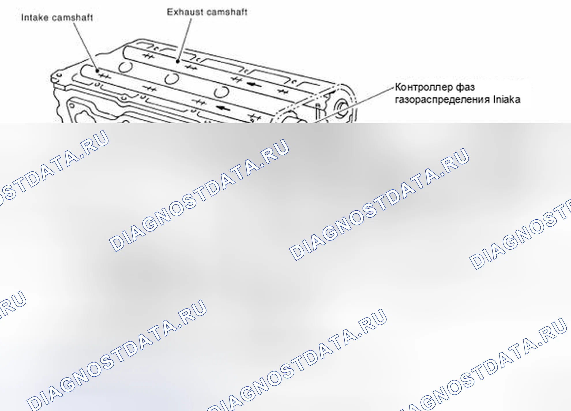 Рис. 5: Определение контура смазки. Nissan Frontier D40