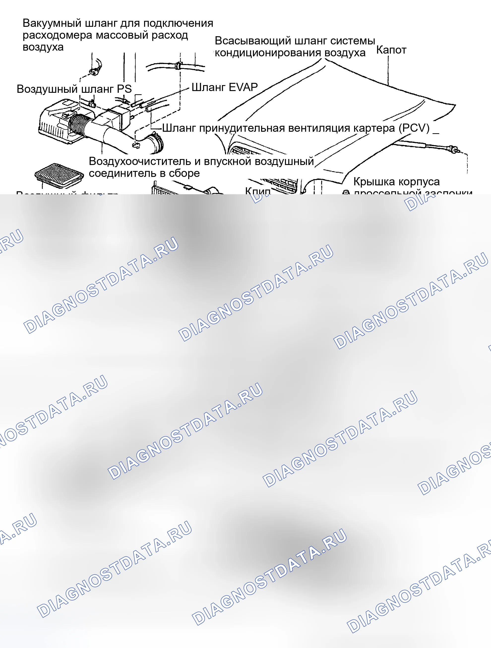 Рис. 217: КОМПОНЕНТЫ. Toyota Sequoia I