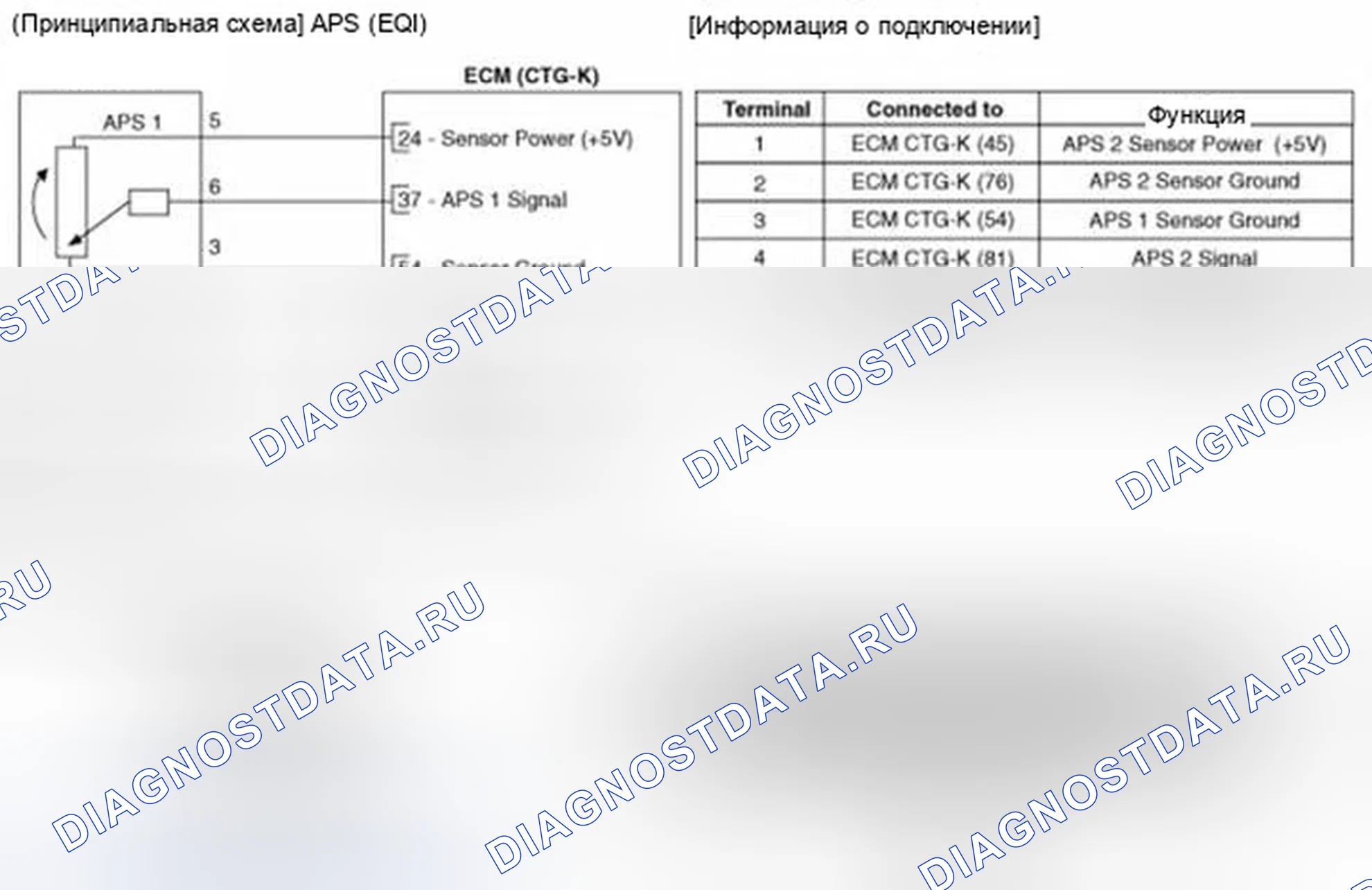 Рис. 52: Принципиальная схема. Hyundai Equus II