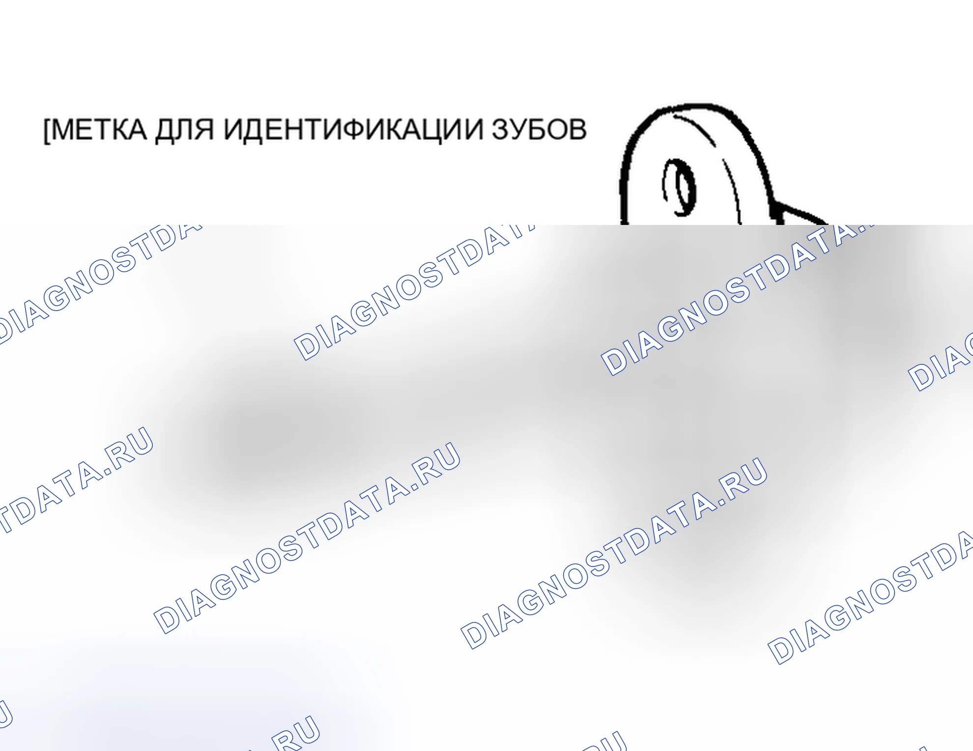 Рис. 62. Mazda MX-5 NA