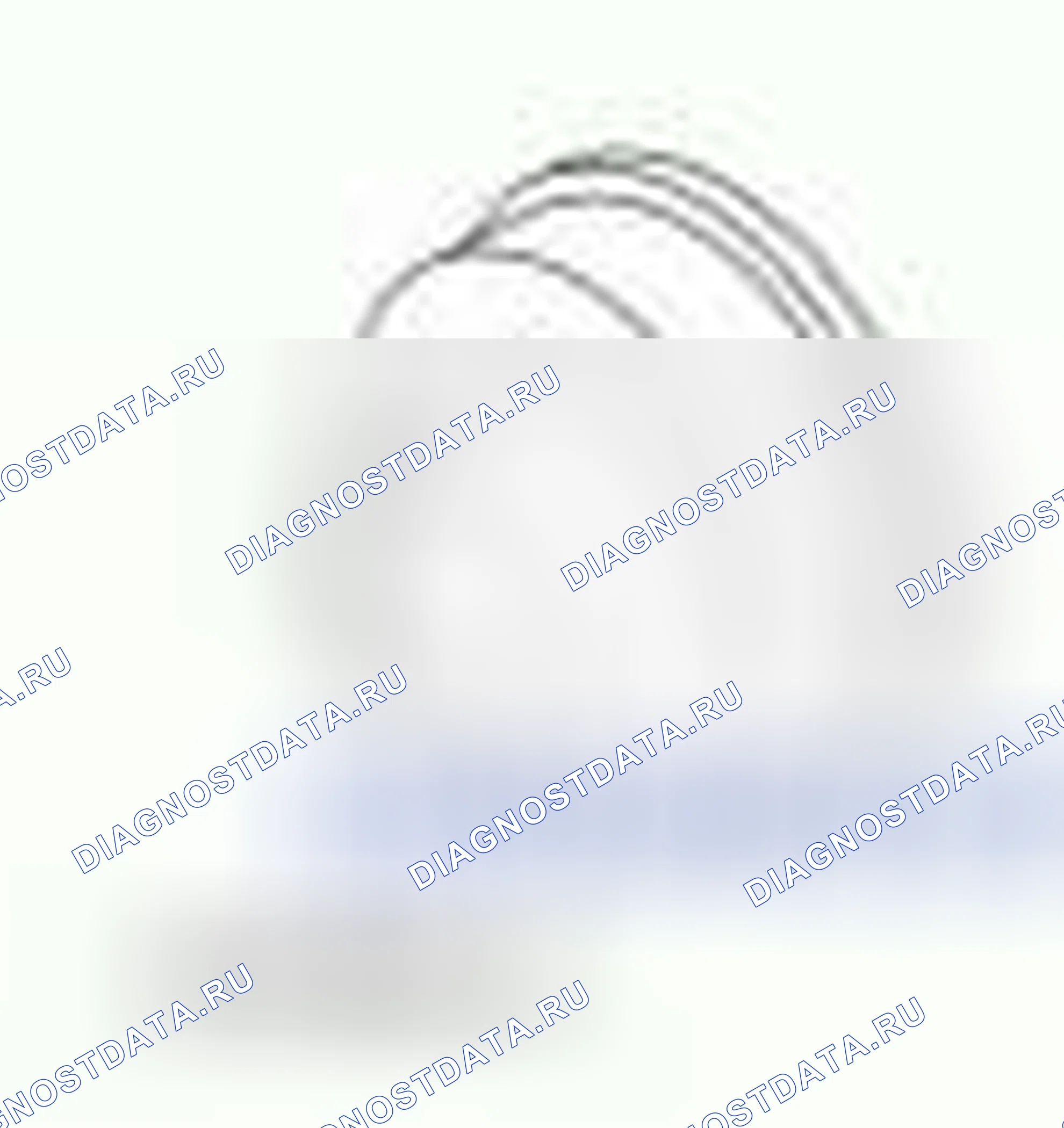 Рис. 1391. Hyundai ix55 I