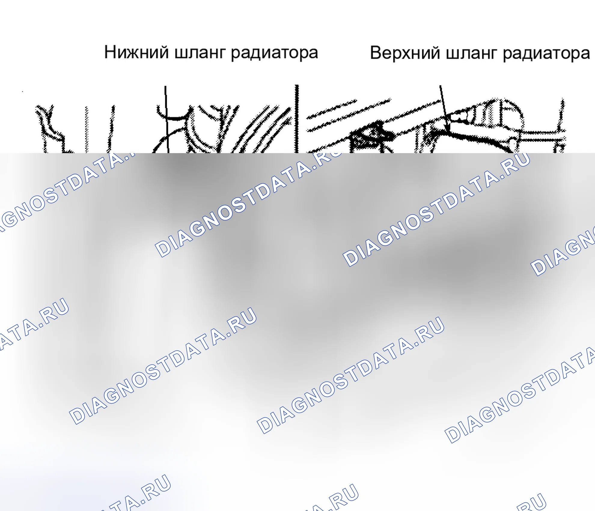 Рис. 12. Land Rover Freelander L314