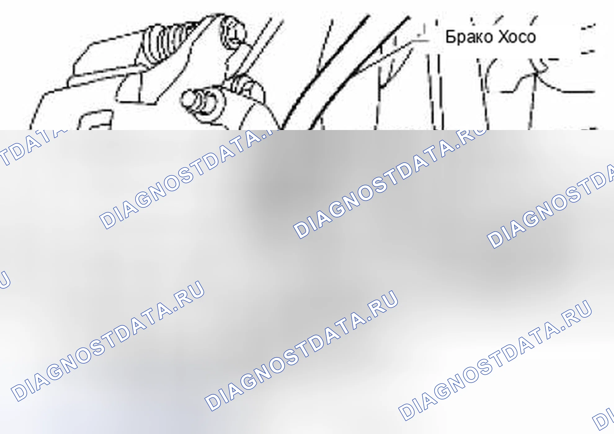 Рис. 19. Suzuki Equator I