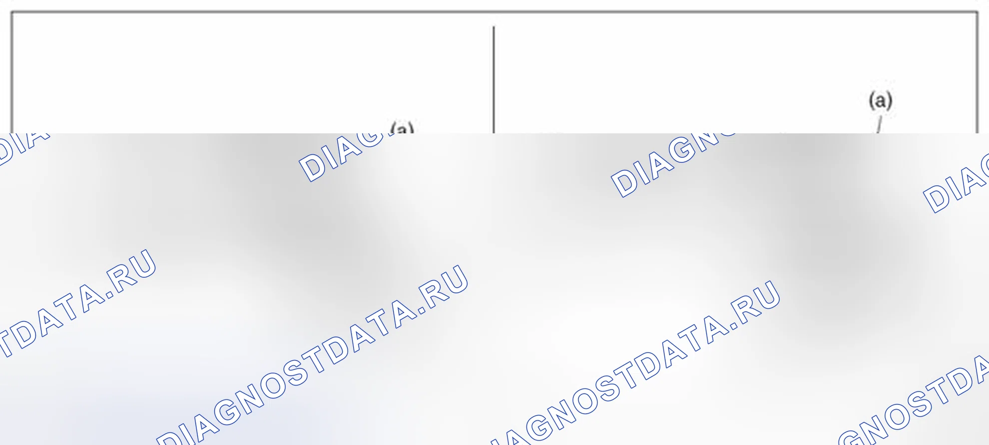 Рис. 29. Subaru Outback BR рестайлинг