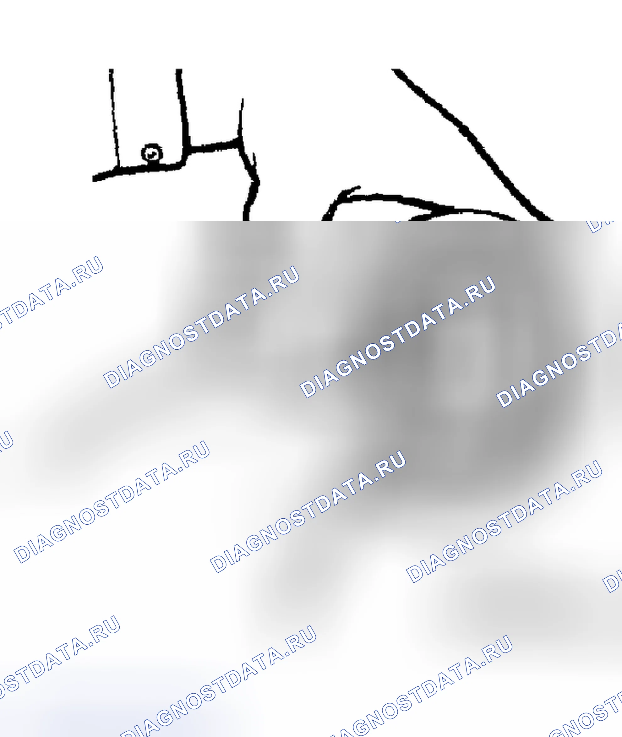 Рис. 171. Mazda MX-5 NA