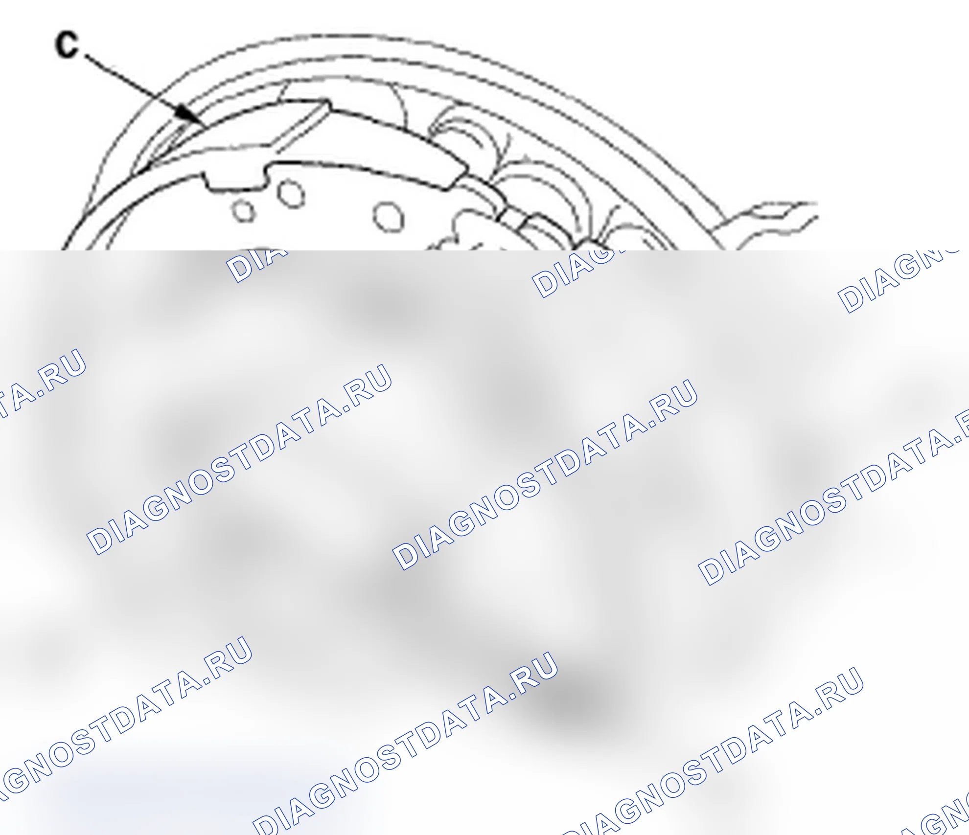 Рис. 66. Acura RDX I