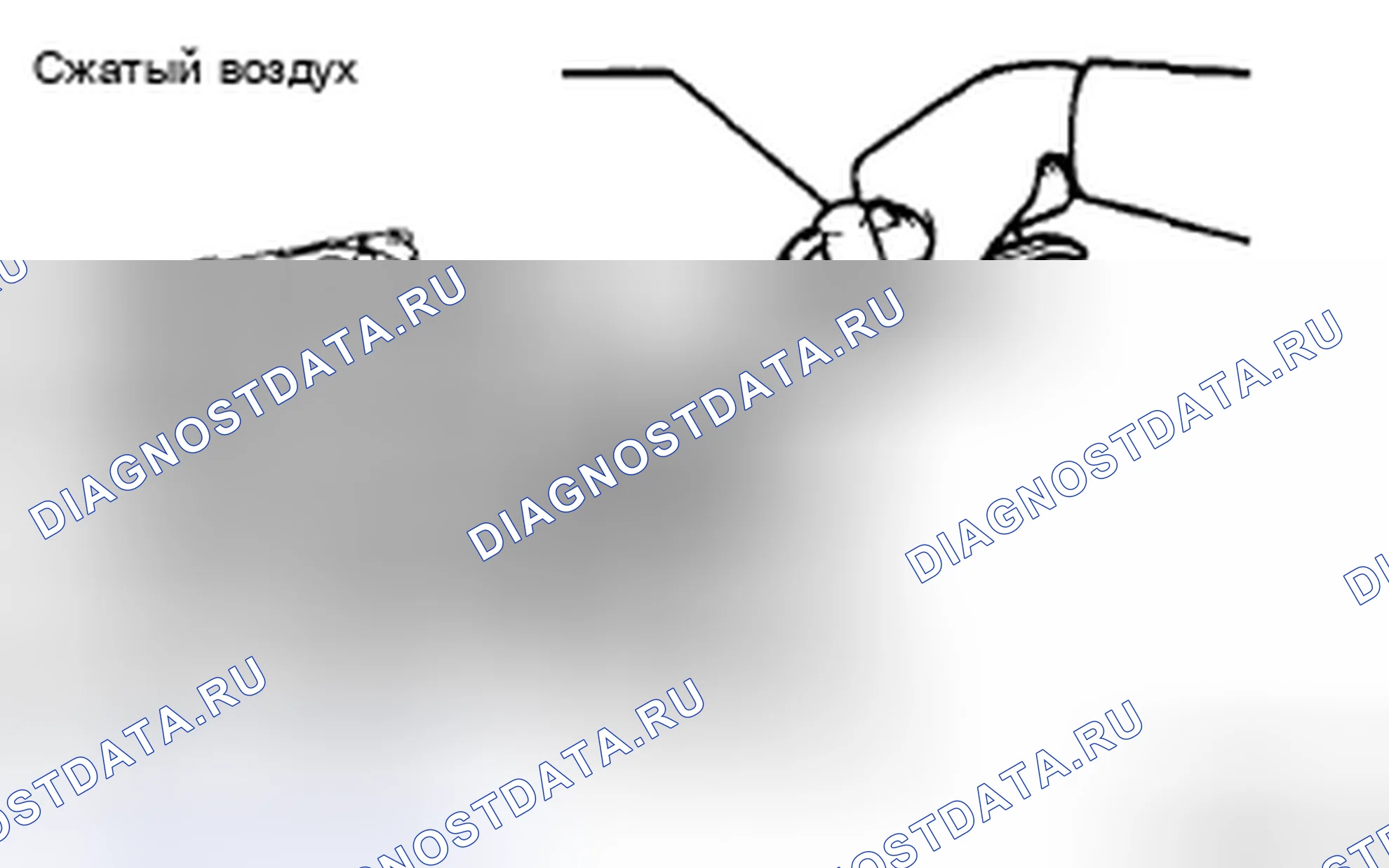Рис. 444. Toyota Corolla X