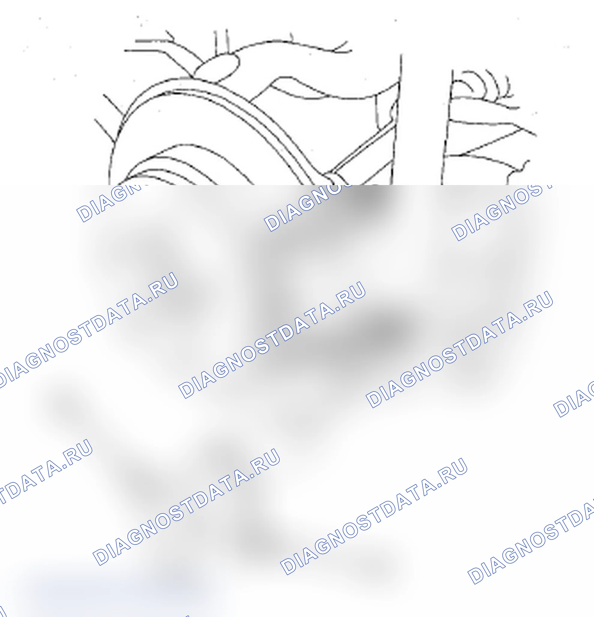 Рис. 53. Acura RDX I рестайлинг