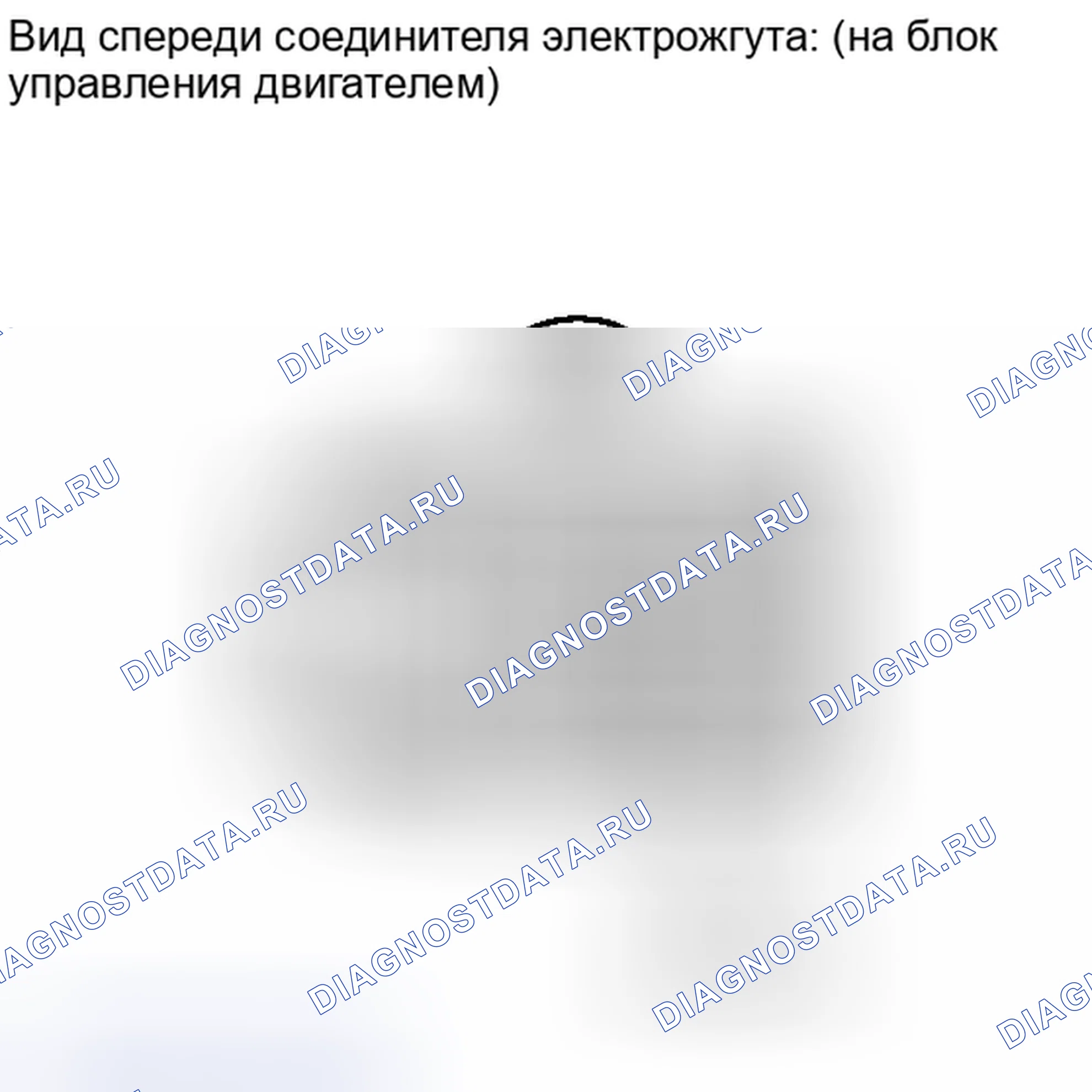 Рис. 461. Haval Xiaolong I