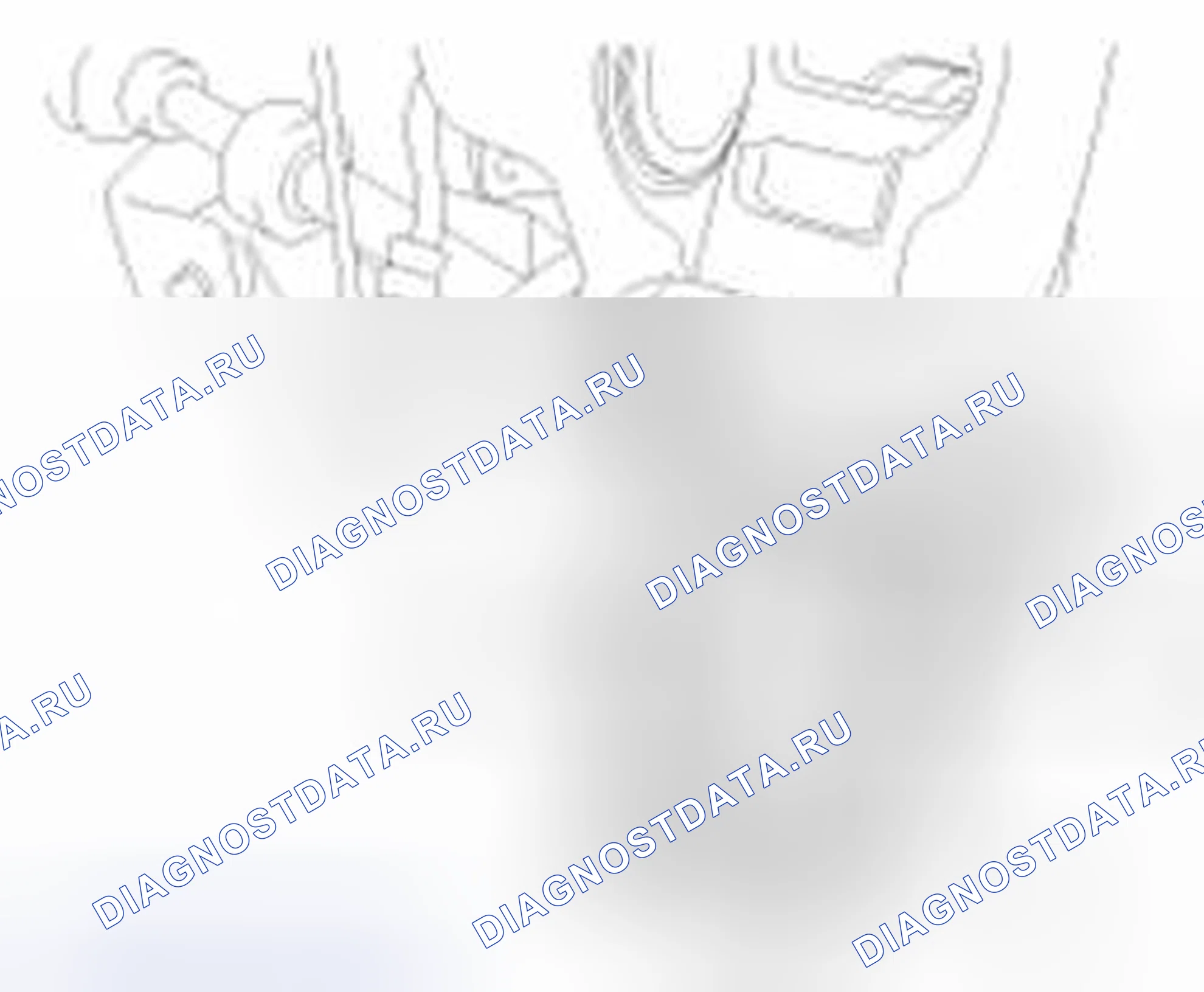 Рис. 32. Haval Beast (Shenshou) I