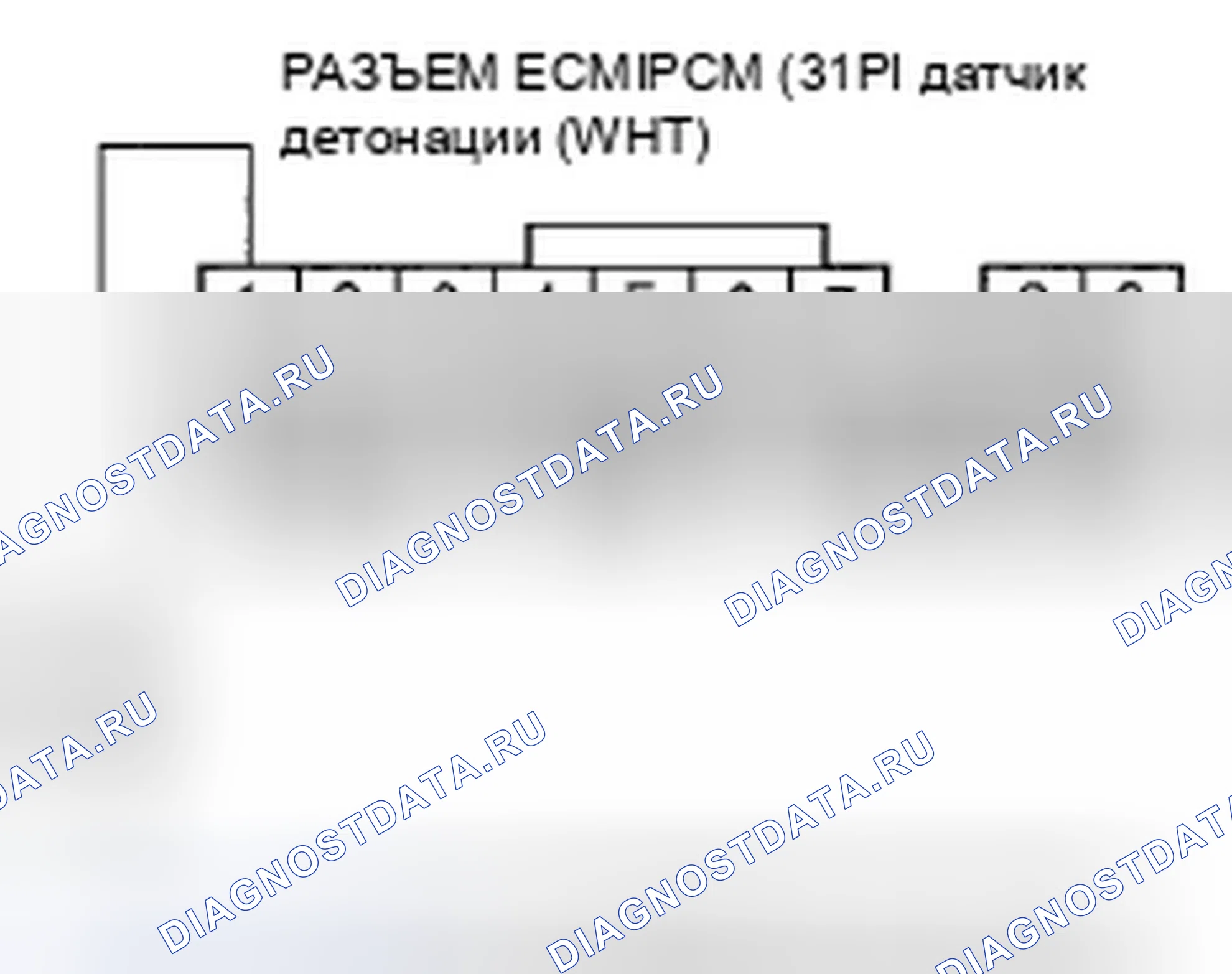 Рис. 420. Honda Element YH2 рестайлинг 2