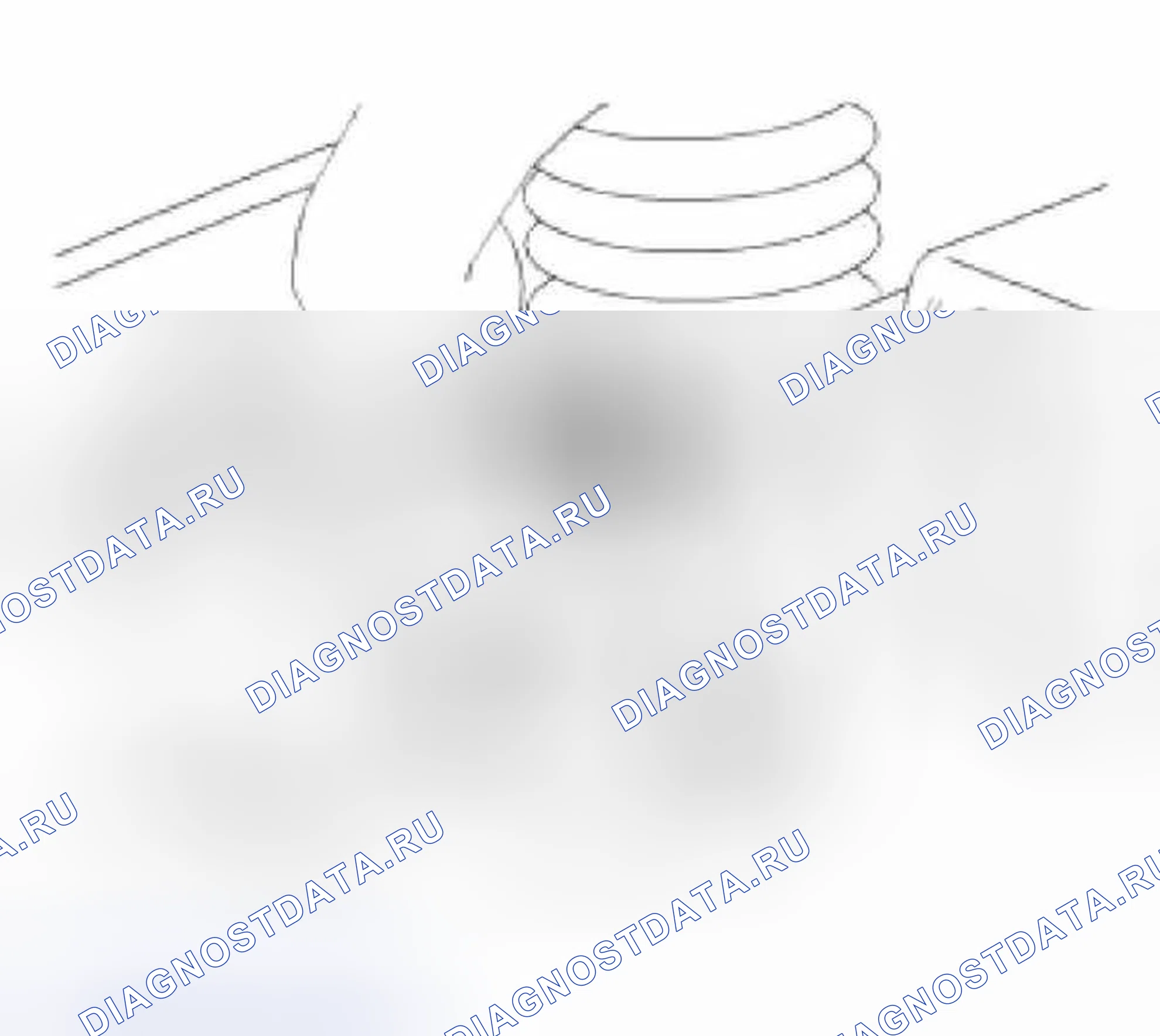 Рис. 2. Land Rover Freelander L314