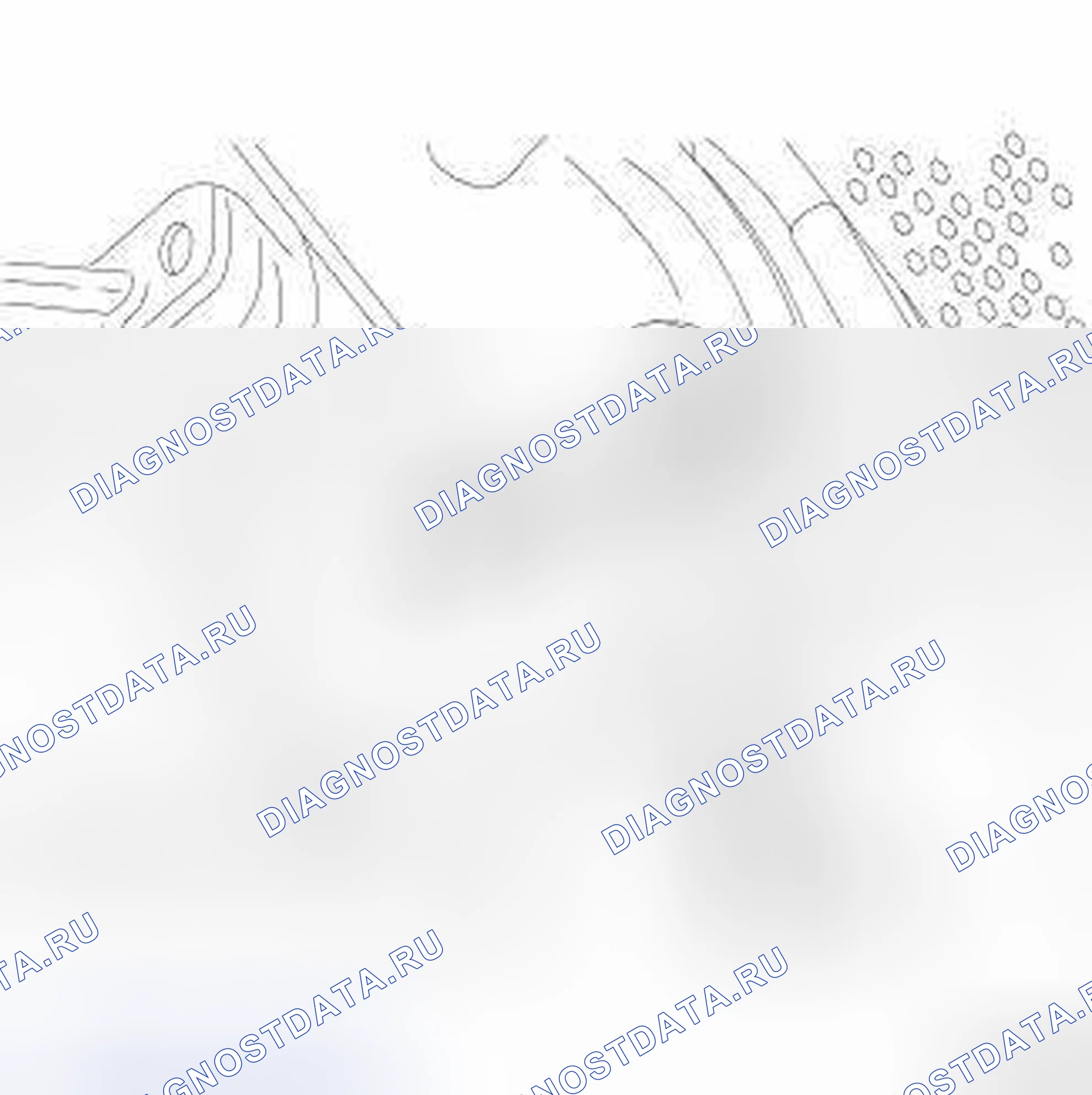 Рис. 443. Jeep Liberty II