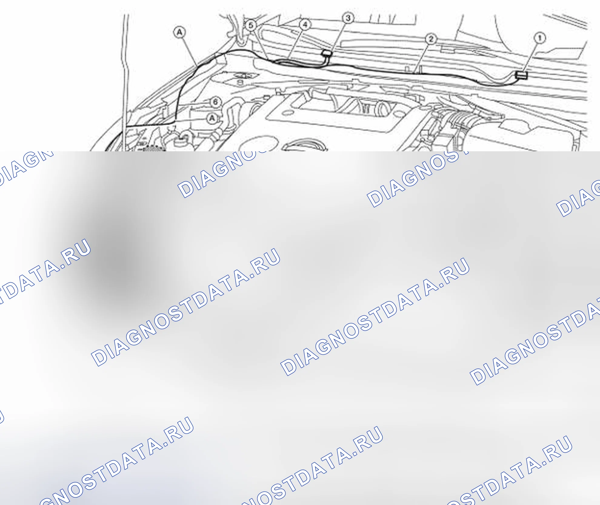 Рис. 17: Определение расположения трубок передней шайбы. Nissan Altima L32