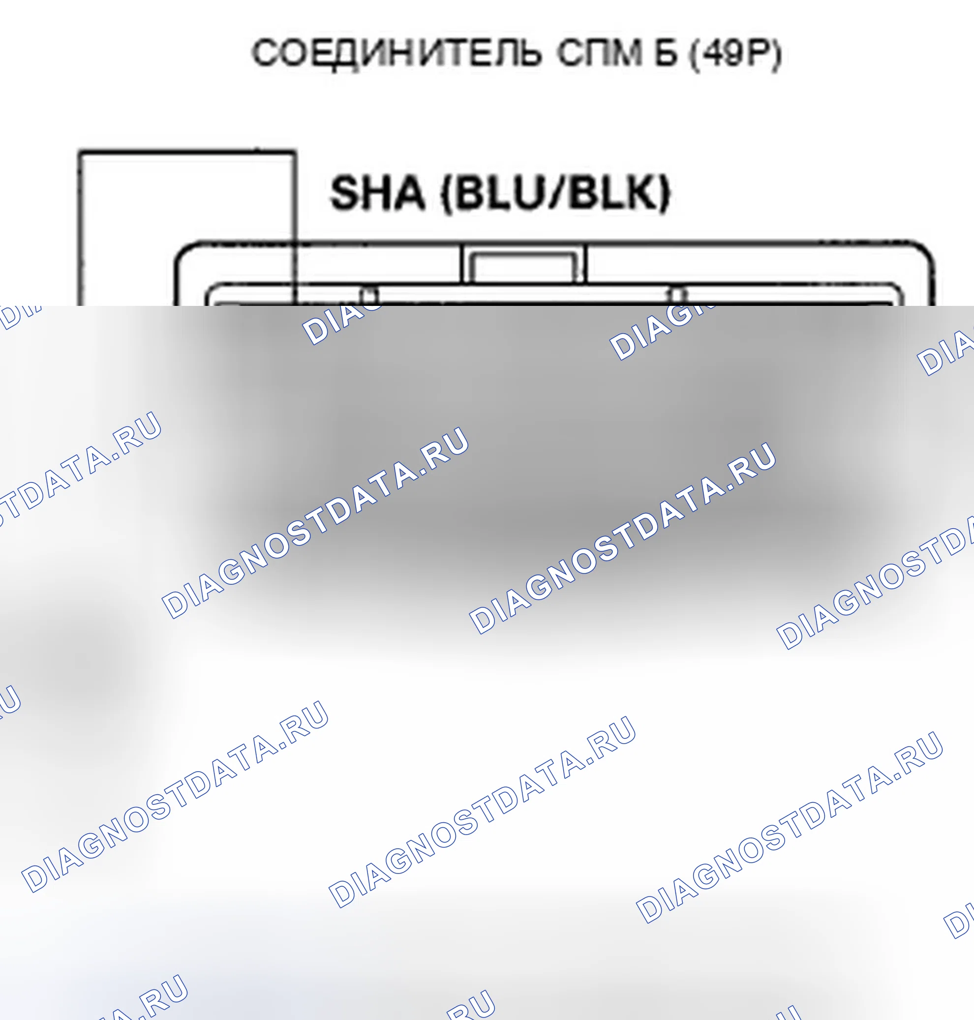 Рис. 1010. Honda Crosstour I