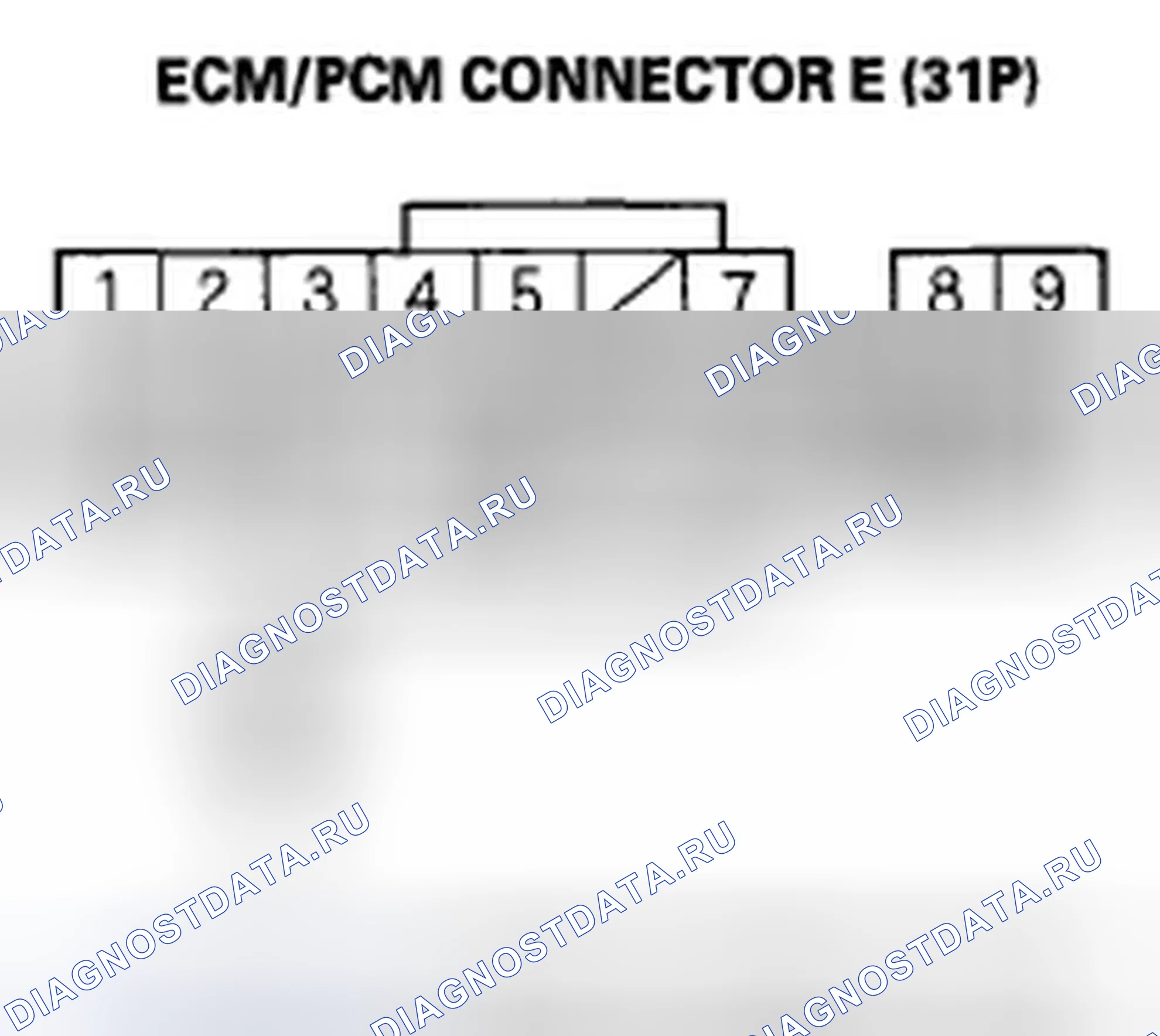 Рис. 524. Honda Element YH2 рестайлинг 2