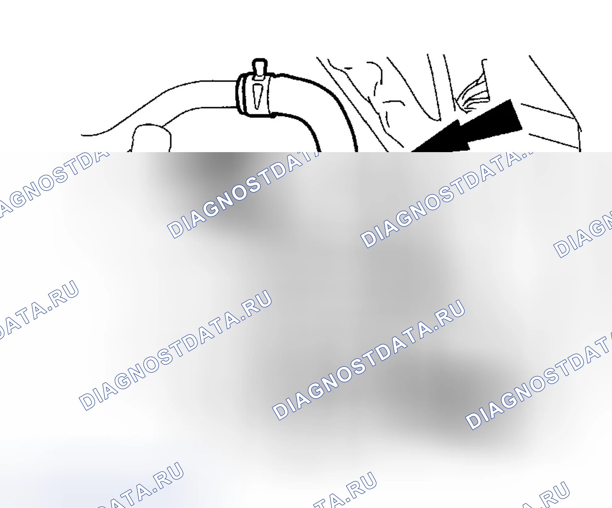 Рис. 1446. Ford Focus I рестайлинг