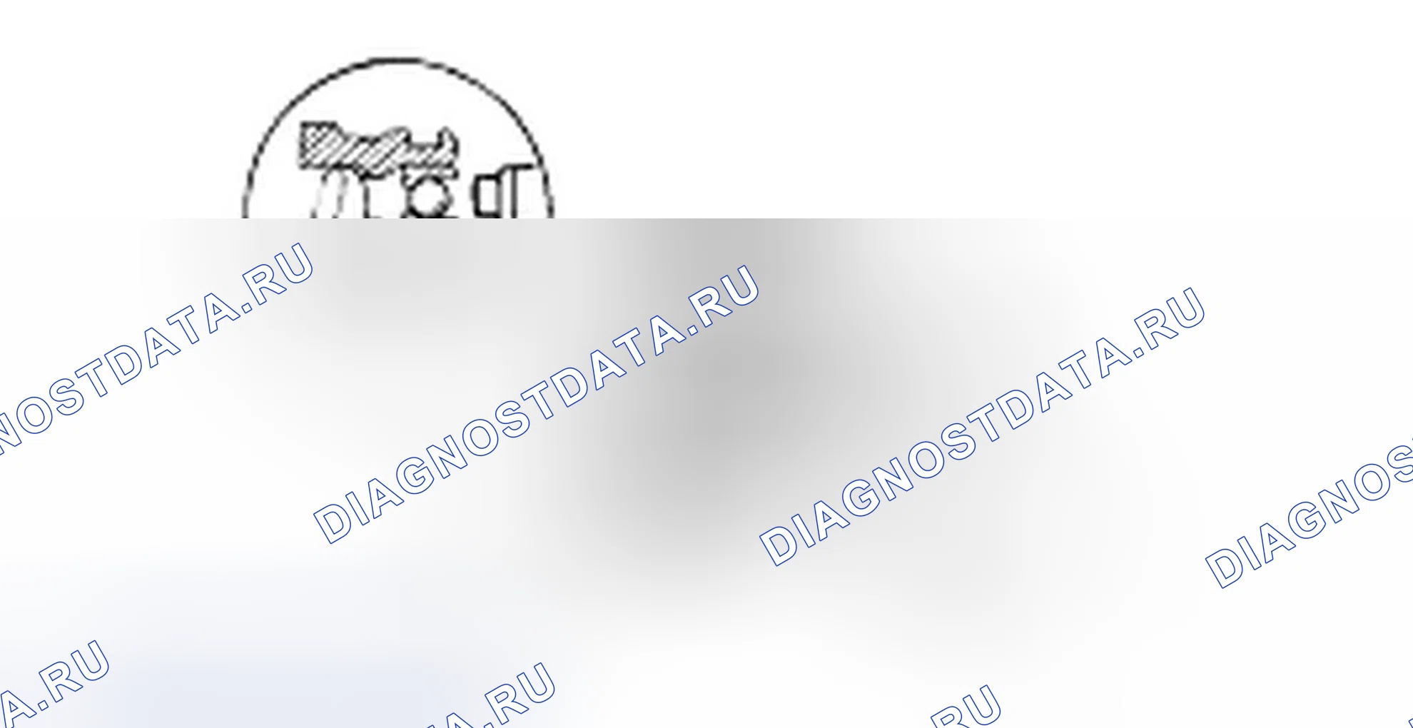 Проверка муфты реверса и овердрайва. Hyundai H-1 A1