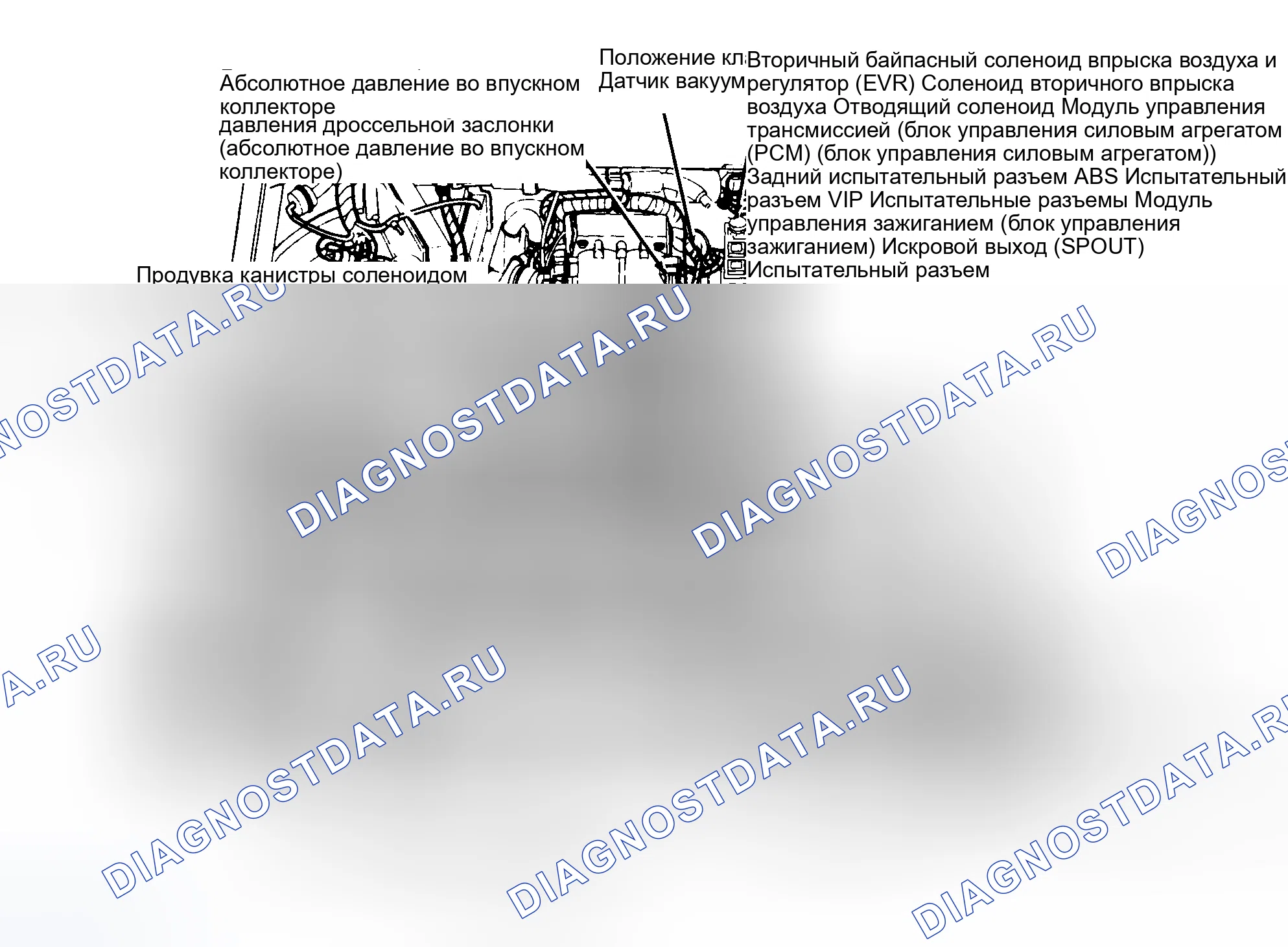 Рис. 5: Расположение компонентов (5 из 9). Ford Cab & Chassis F350 