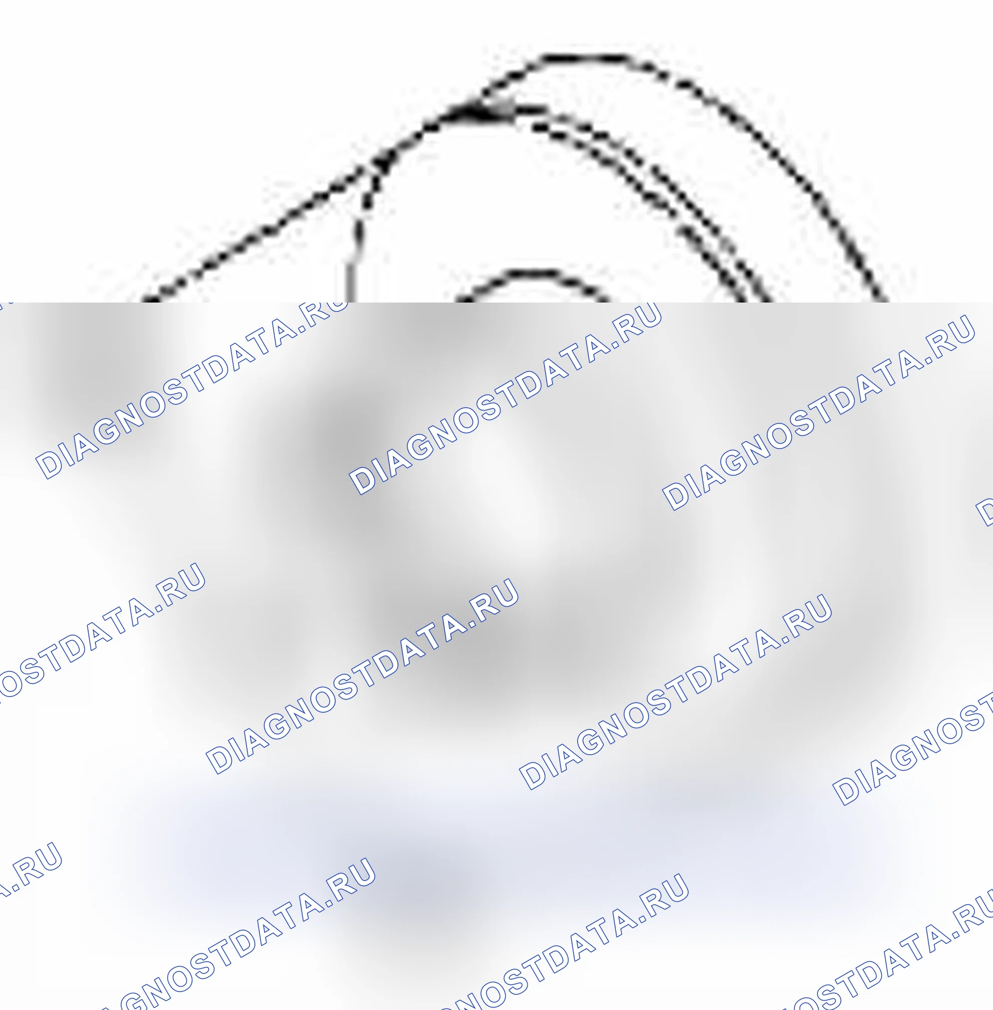 Рис. 328. Suzuki Equator I