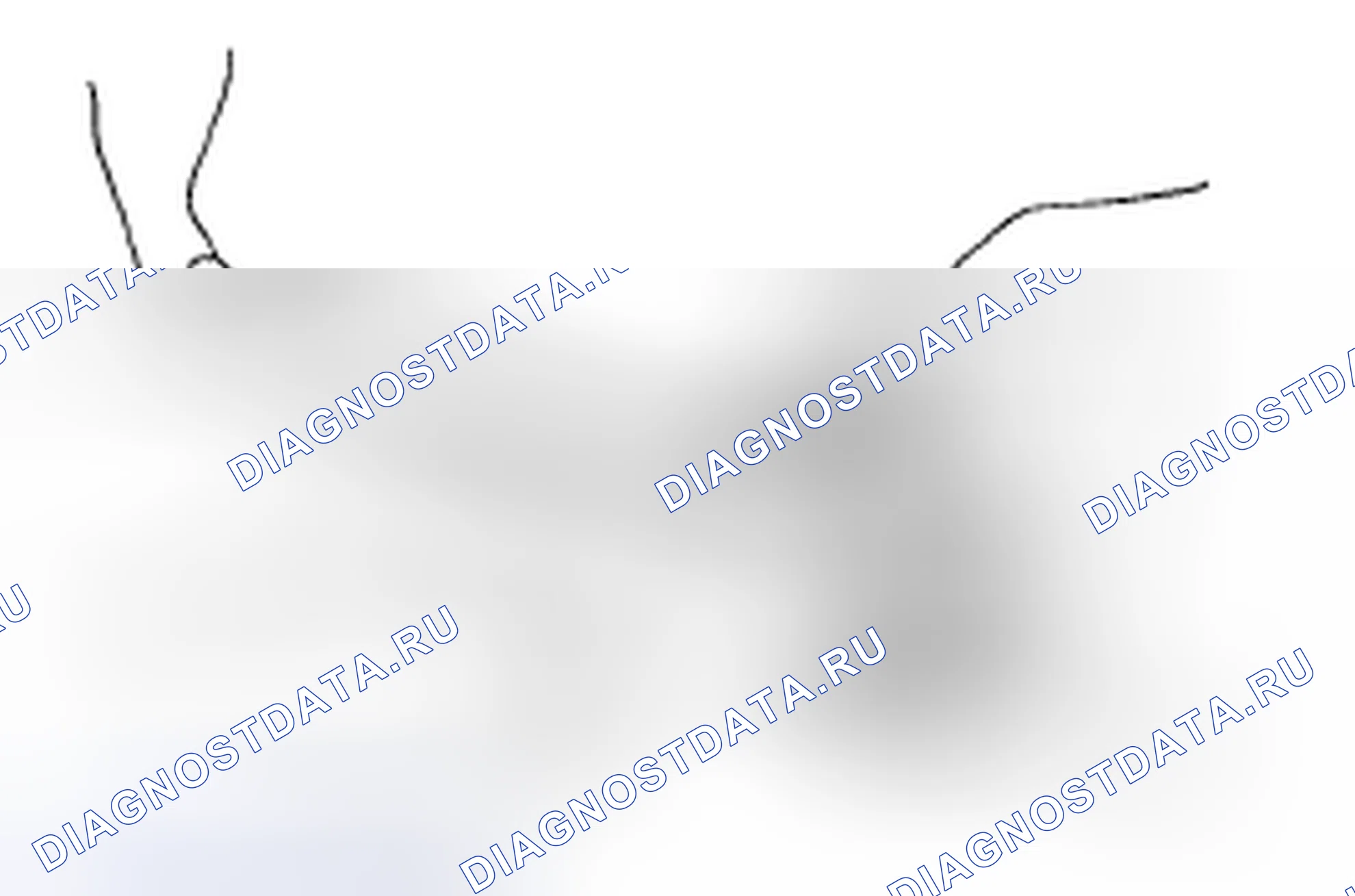 Рис. 104. Subaru Impreza GH