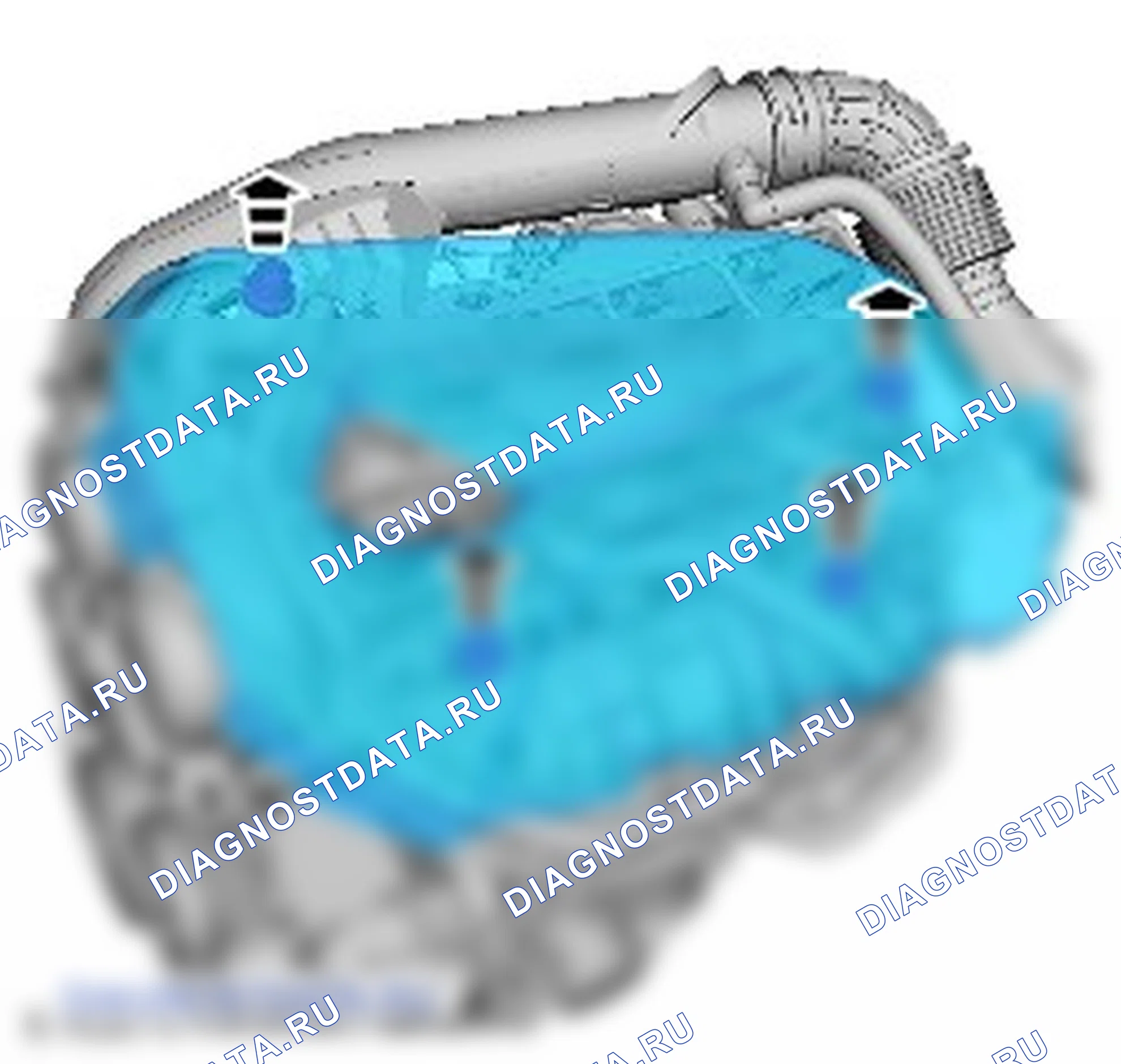 Ремень ГРМ: описание и работа. Ford Grand C-MAX II
