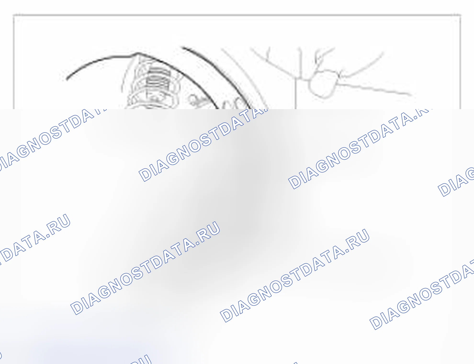 Рис. 18. BMW 6 серия F06/F13/F12
