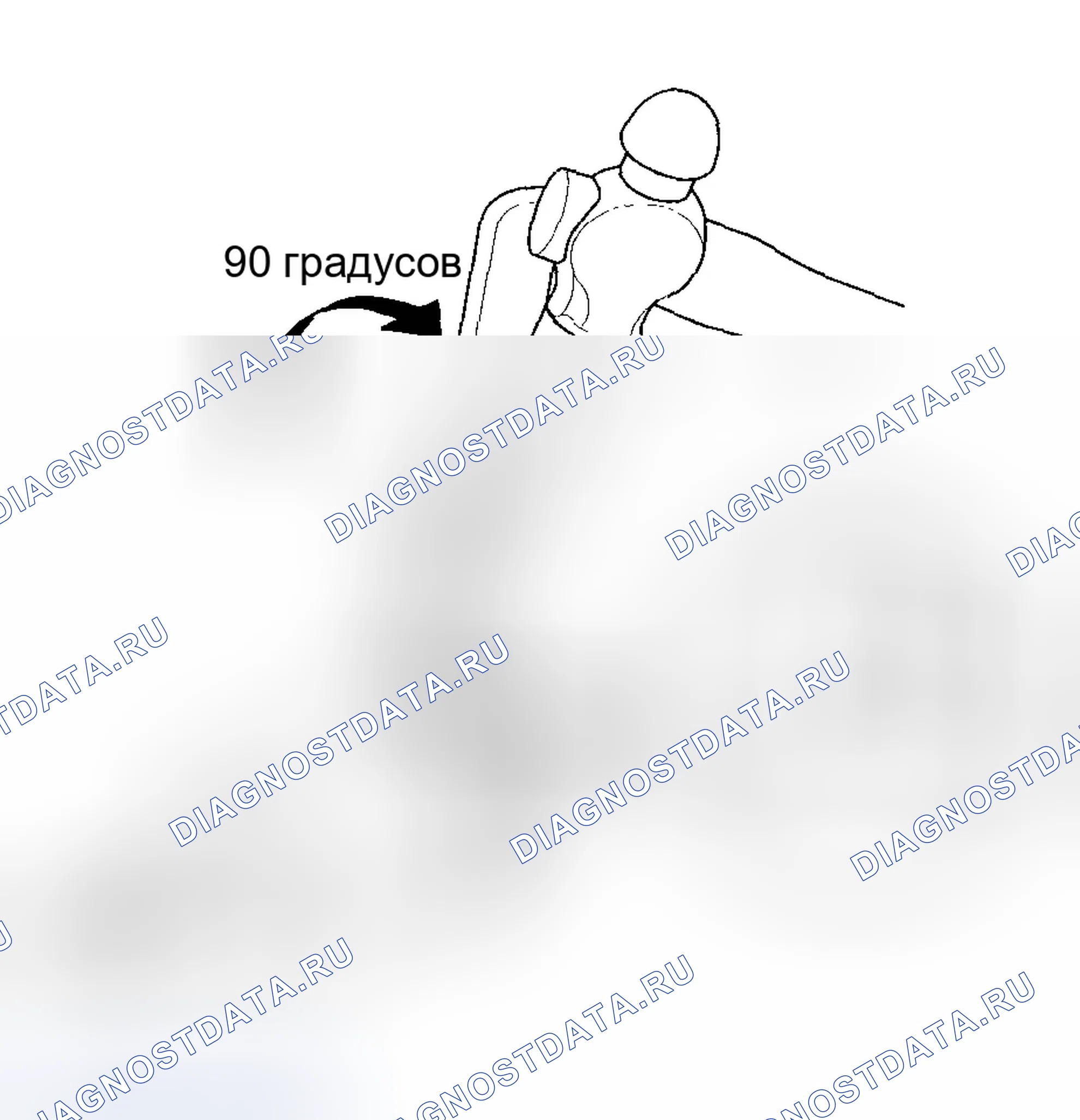 Рис. 89. Honda Accord VII рестайлинг