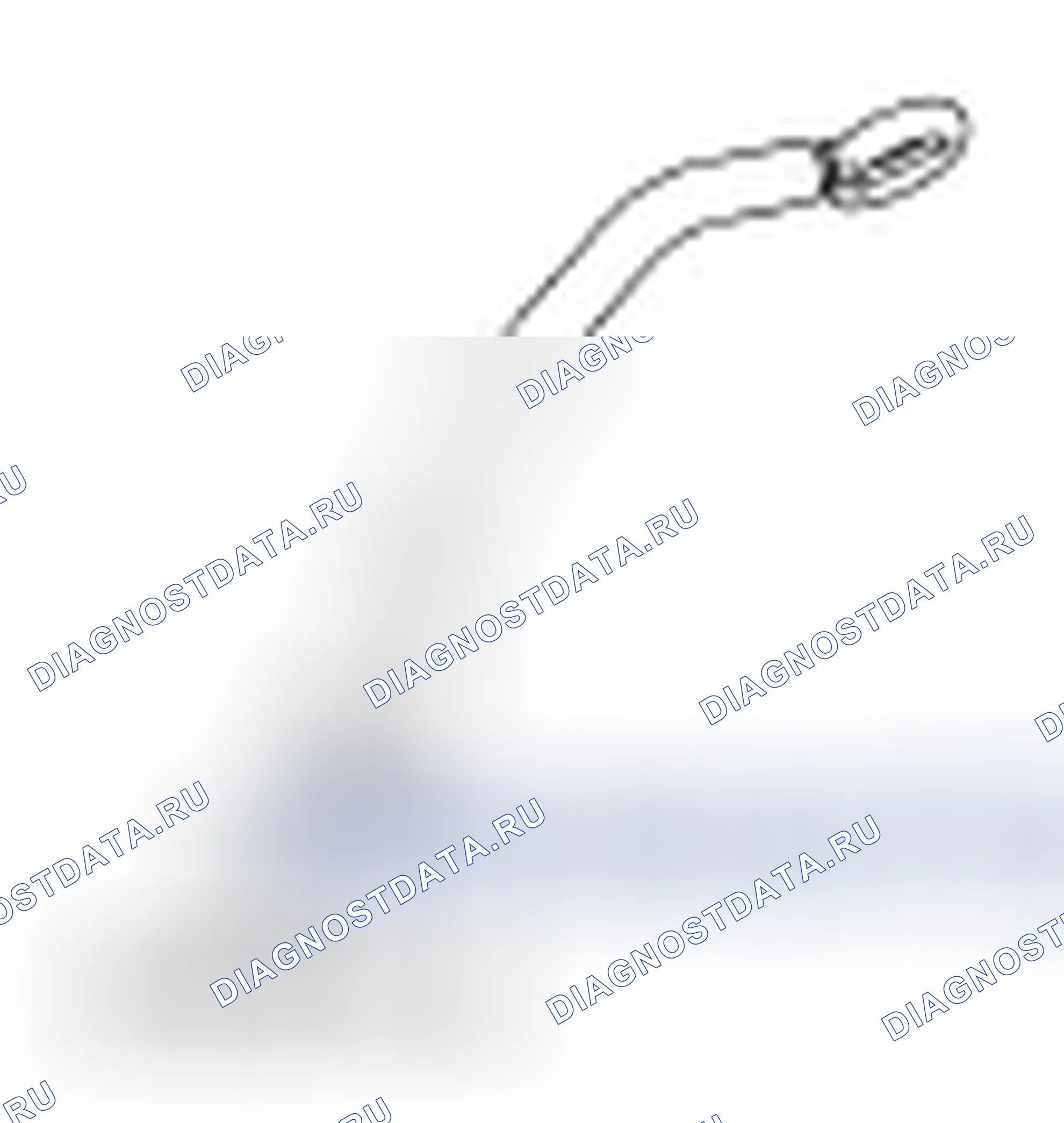 Рис. 564. Ford Freestyle I