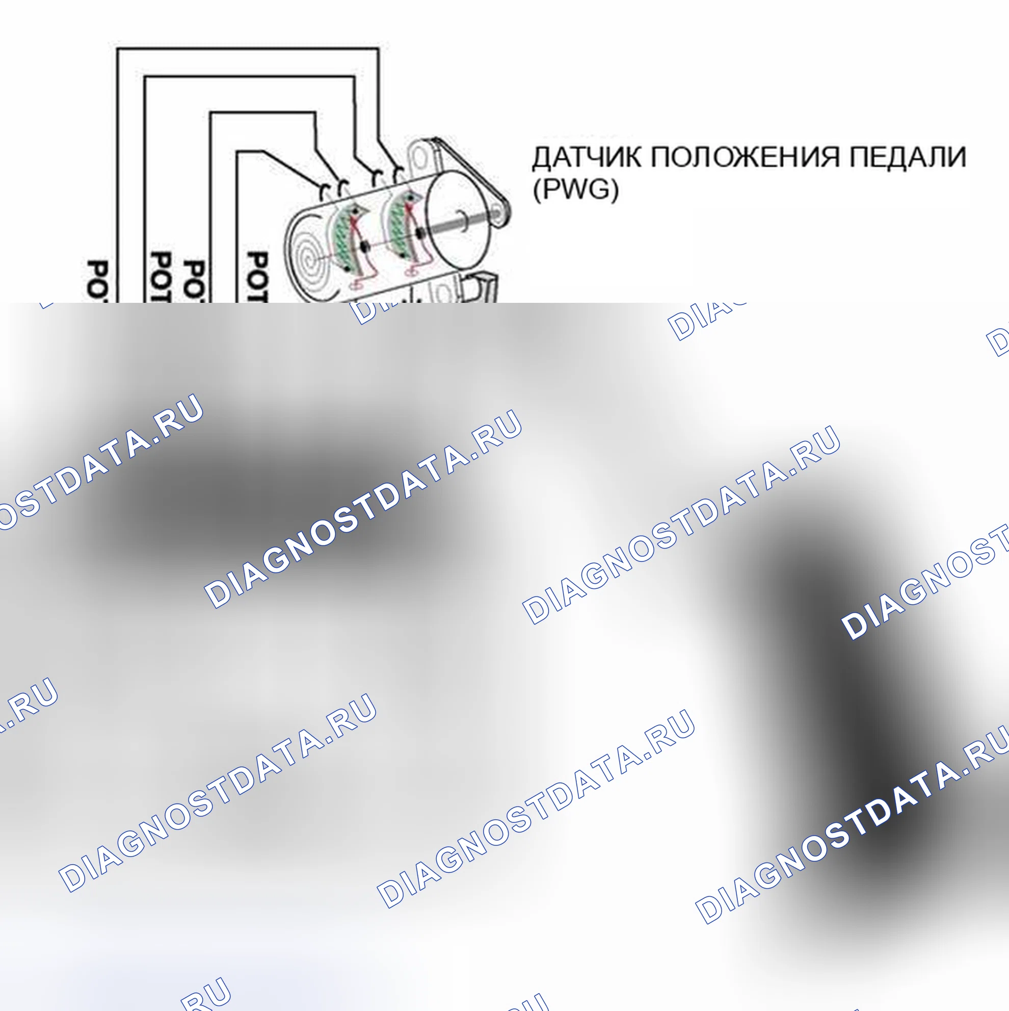 Рис. 59: Датчик положения дросселя (PWG). BMW M5 E39