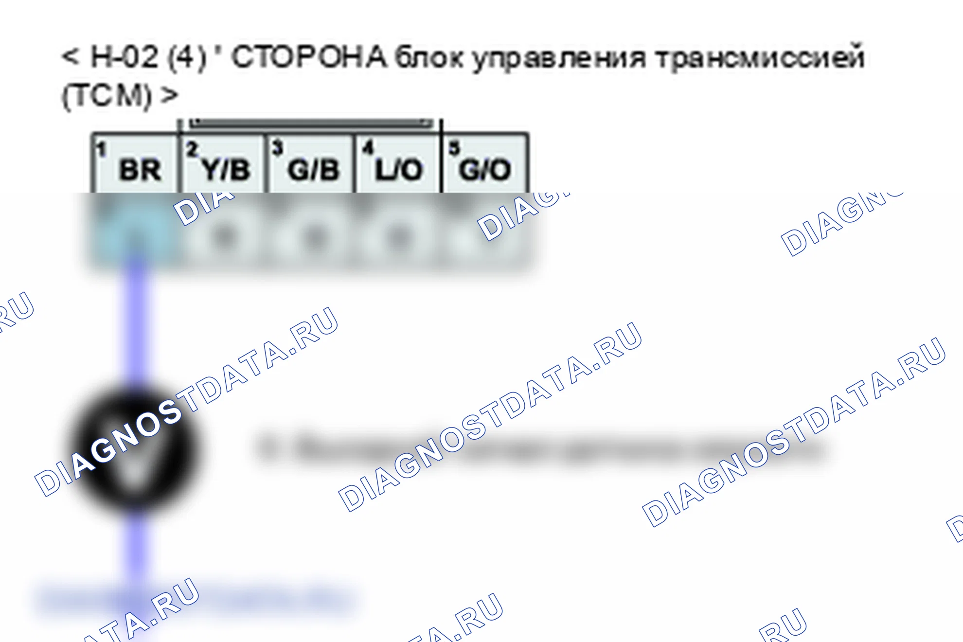 P0721: Диапазон/производительность цепи датчика выходной скорости. Kia Sorento BL