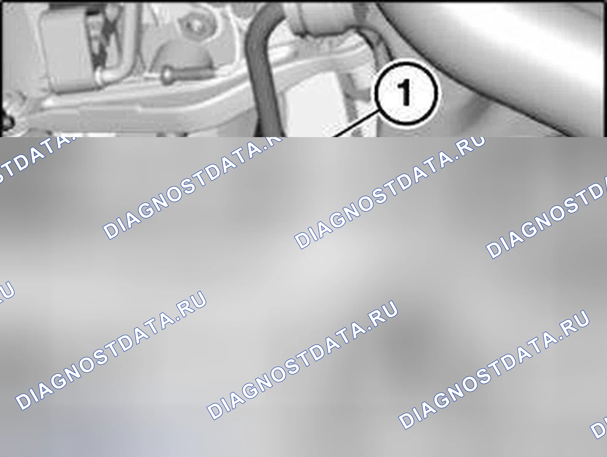 Рис. 166: Идентификация гаек (1) и (2). BMW M6 E63/E64