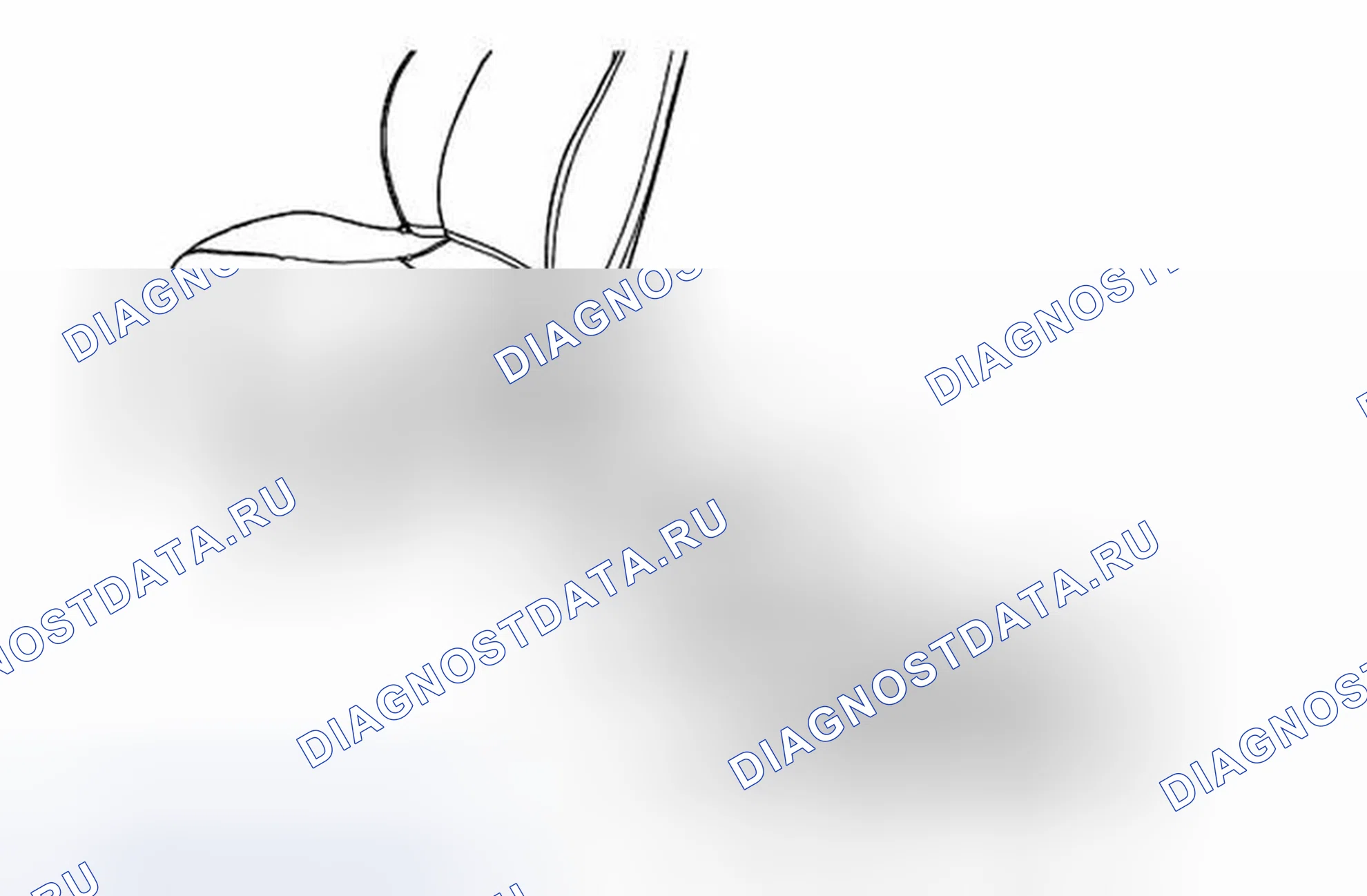 Рис. 4: Замена внешней панели отделки подушки сиденья. Chevrolet Corvette C6