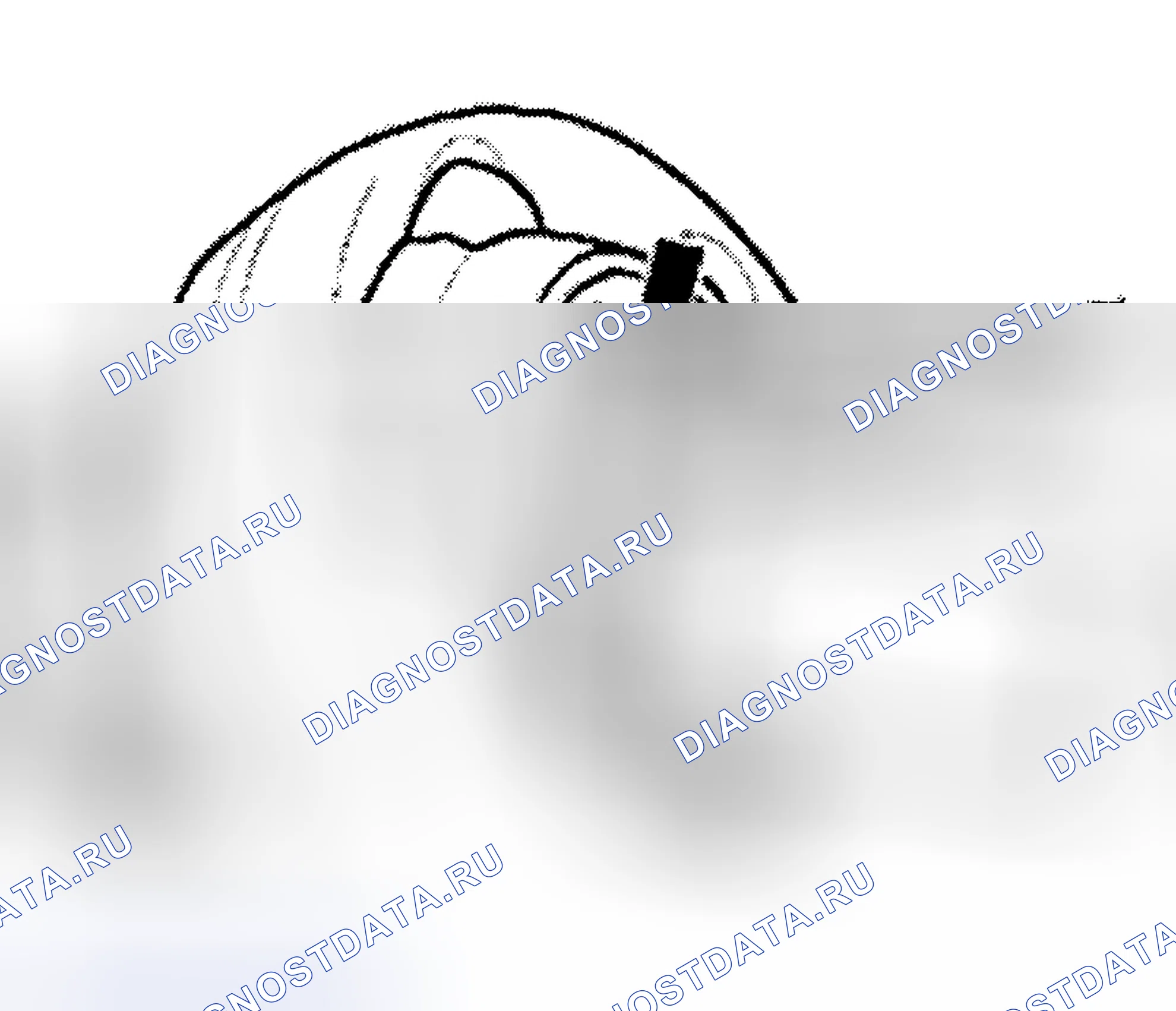 Рис. 20. Audi S4 B5