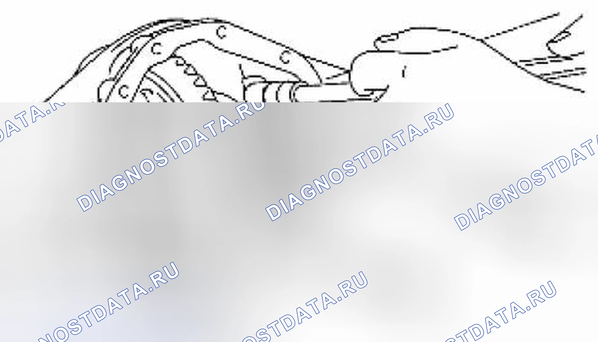 Рис. 261. Suzuki Equator I