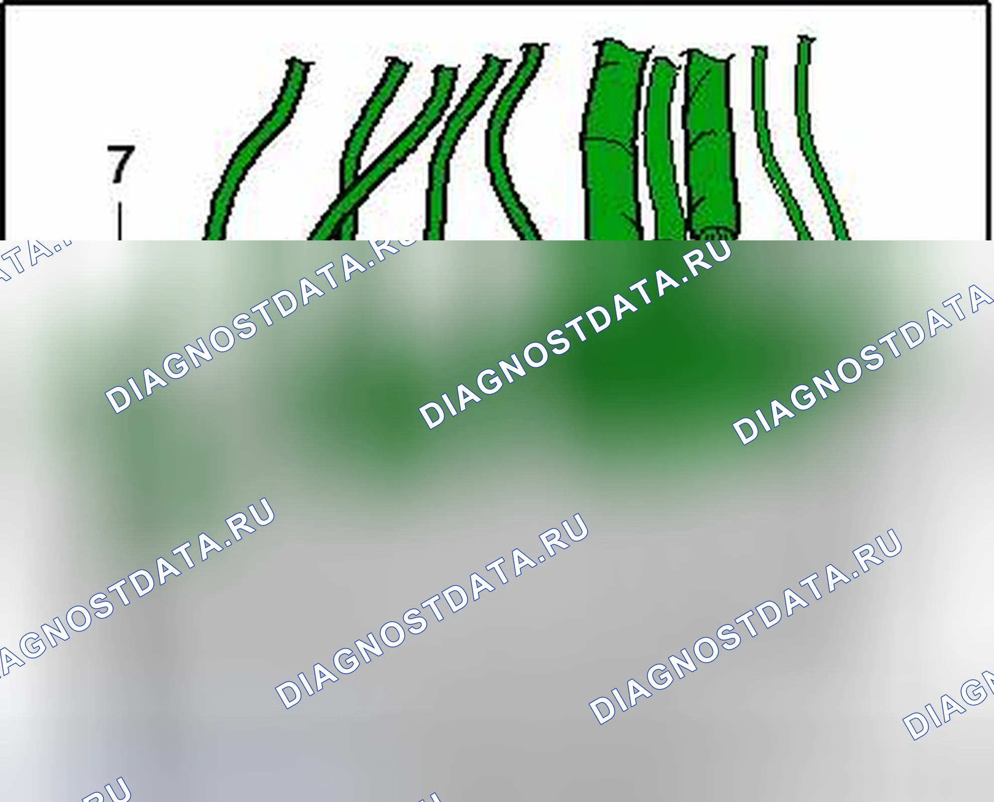 Рис. 21: МОДУЛЬ УПРАВЛЕНИЯ ИНФОРМАЦИОННОЙ ЭЛЕКТРОНИКОЙ 1 -J794- ОБЗОР КАБЕЛЬНЫХ СОЕДИНИТЕЛЕЙ. Volkswagen Touareg II