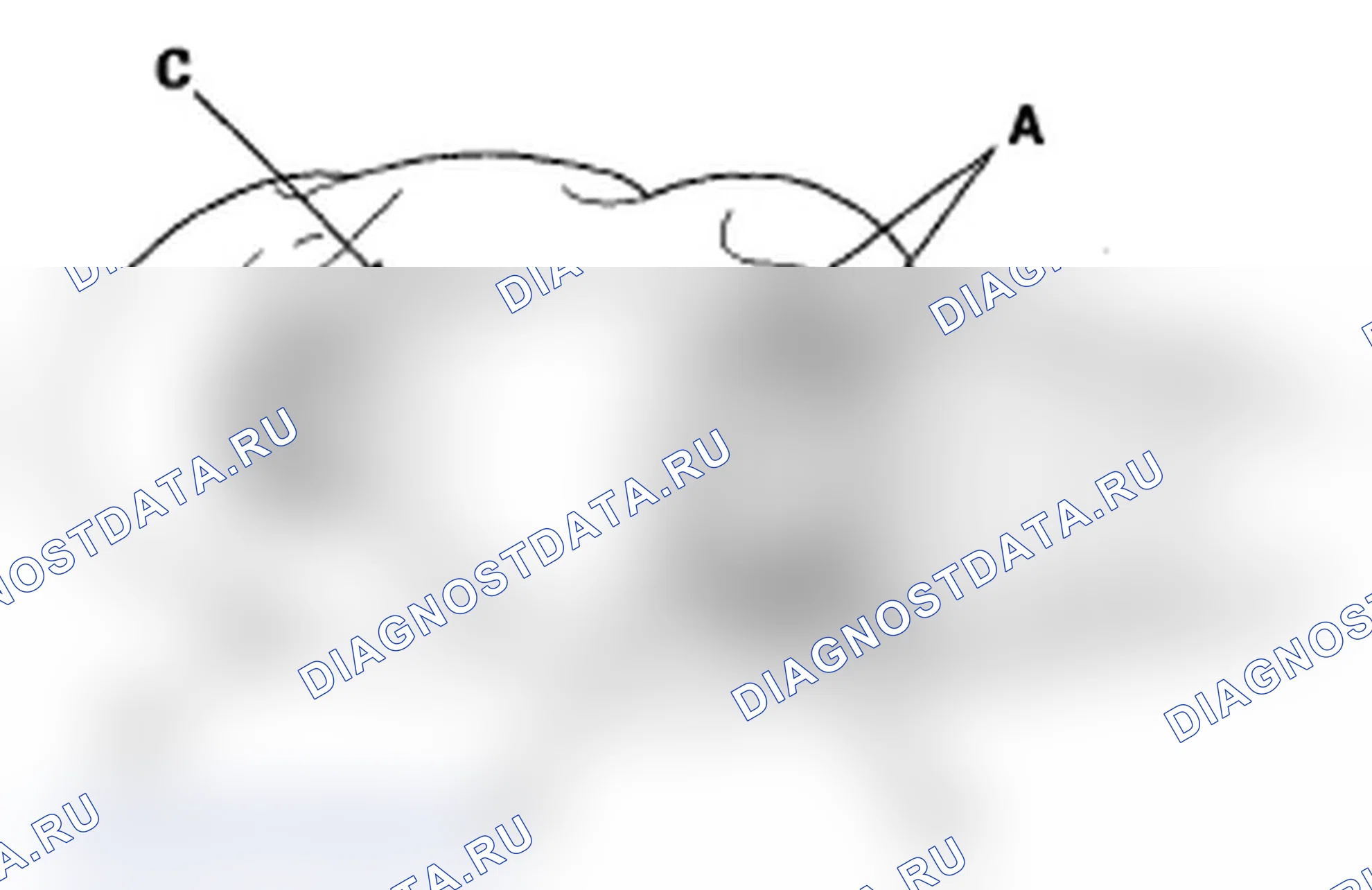 Рис. 82: Внутренняя сторона соединения. Acura MDX II