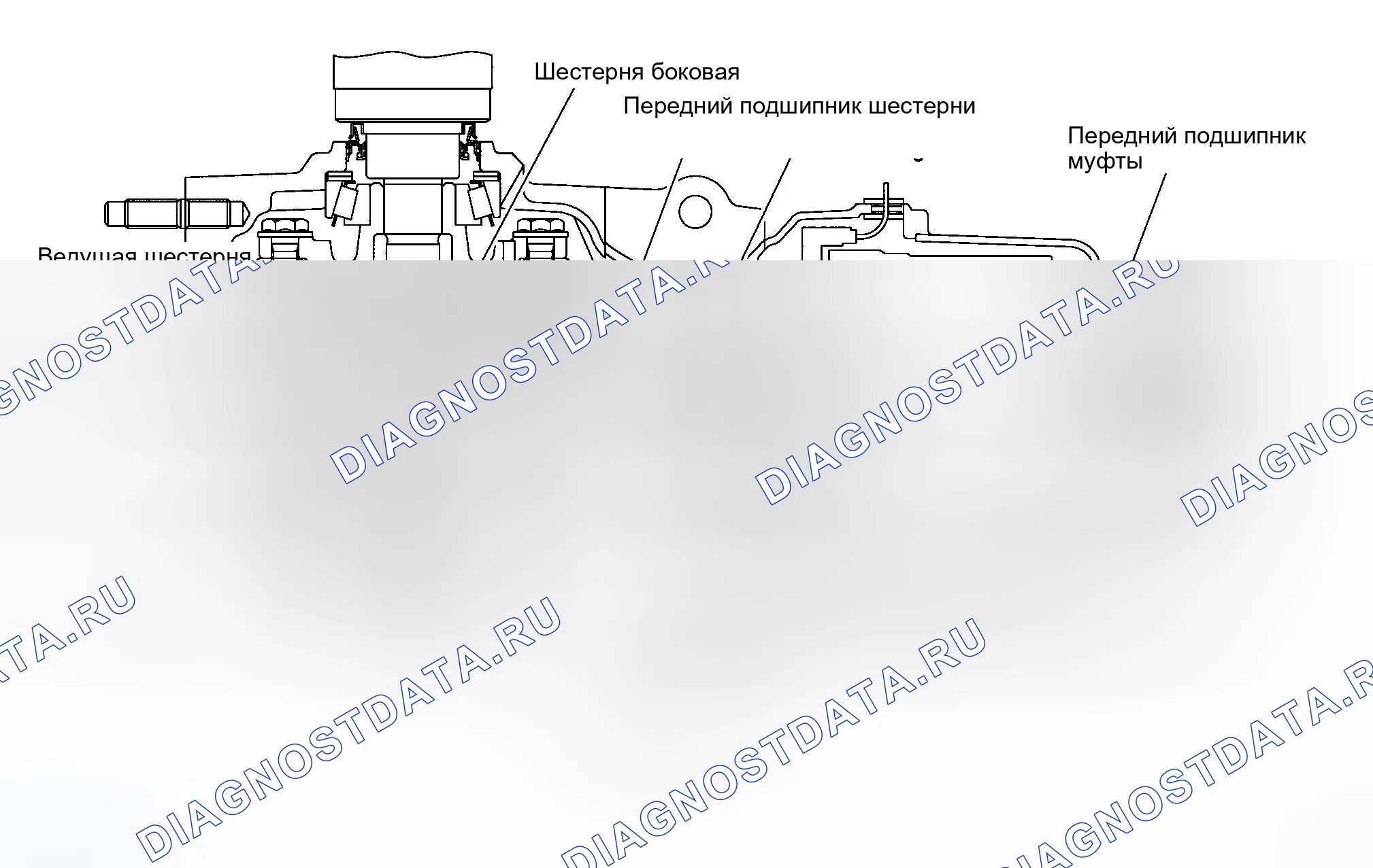 Рис. 2: Поперечное сечение. Honda Integra I