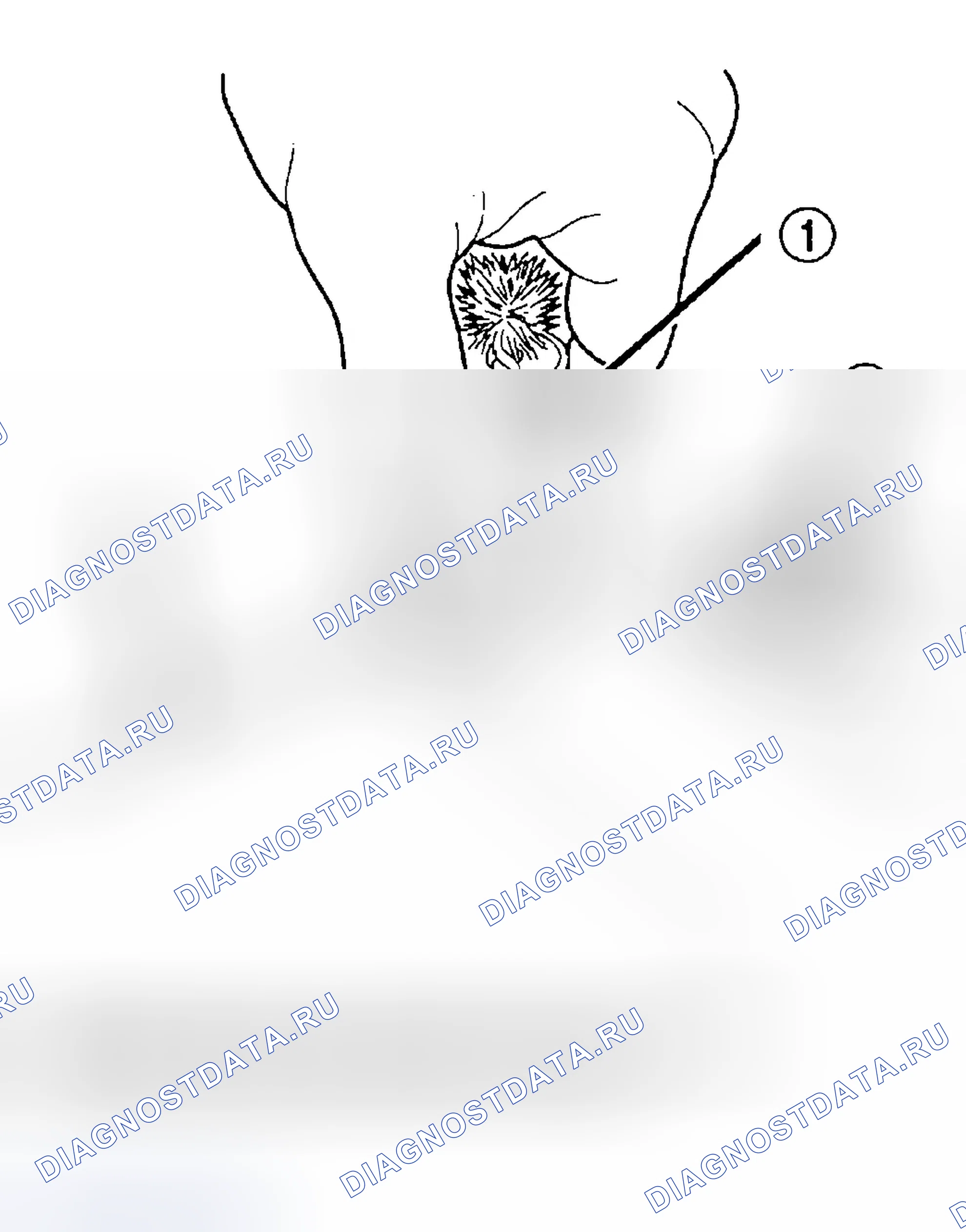 Рис. 38. Jeep Liberty I