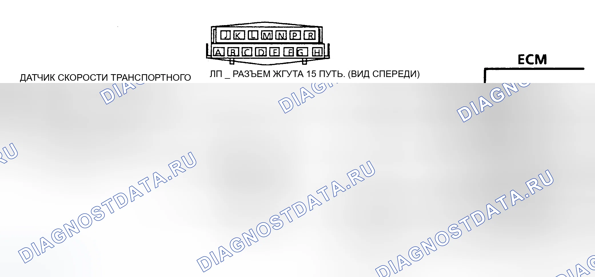 Рис. 162: Схема кода 24, датчик скорости транспортного средства (кузов). GMC Pickup R2500 