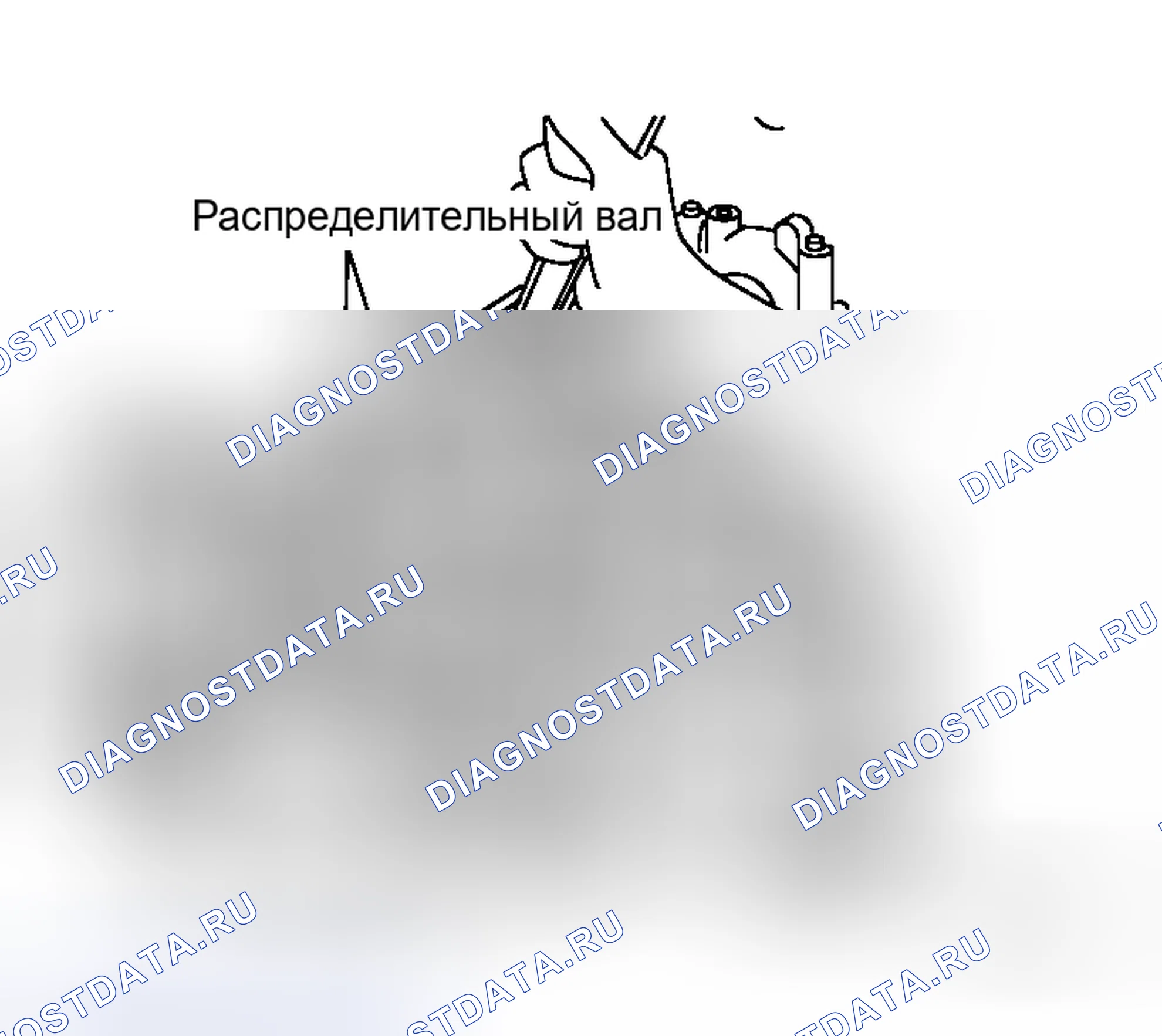 Рис. 248. Honda Stepwgn I