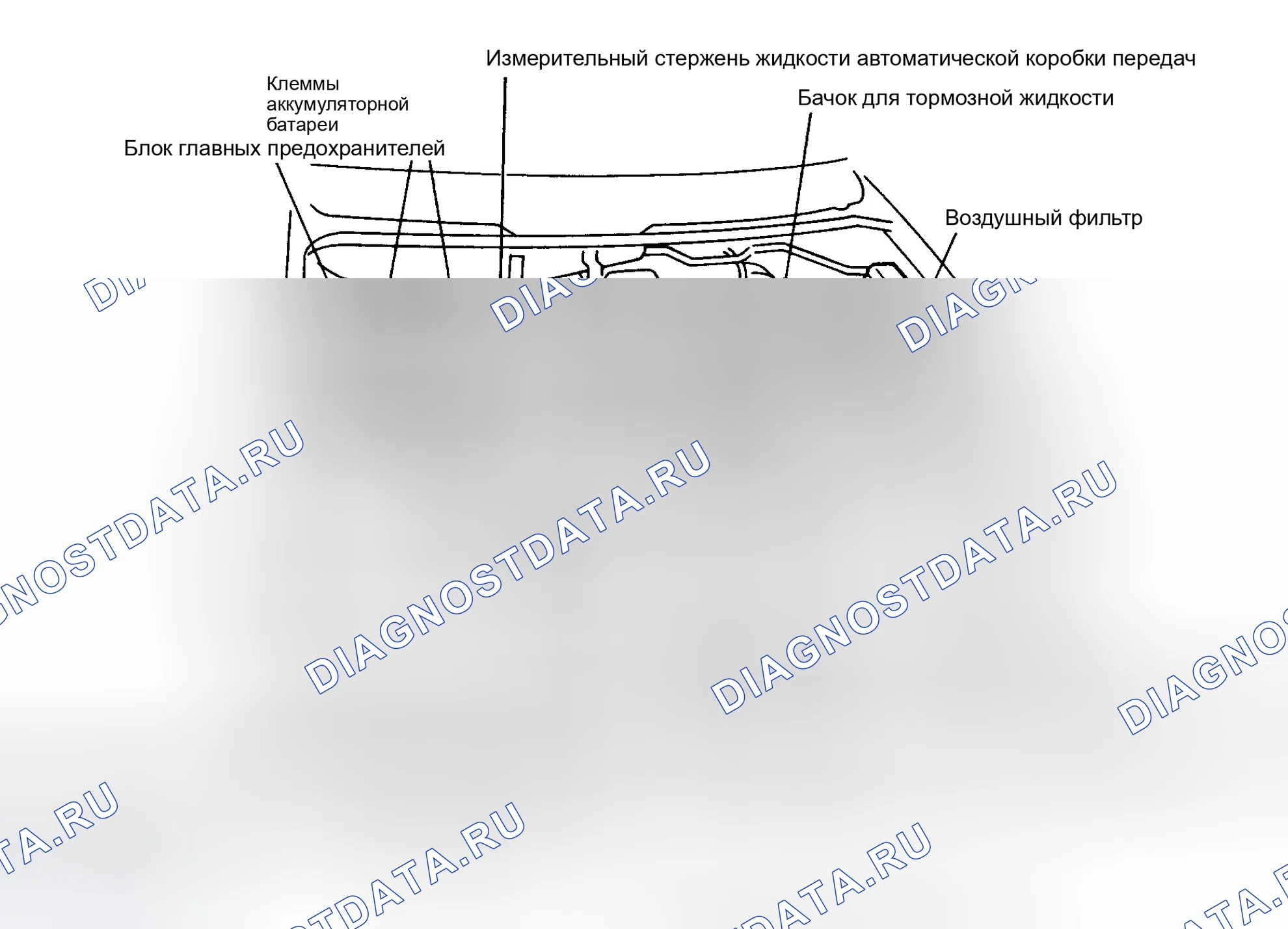 Рис. 7. Mazda MPV V