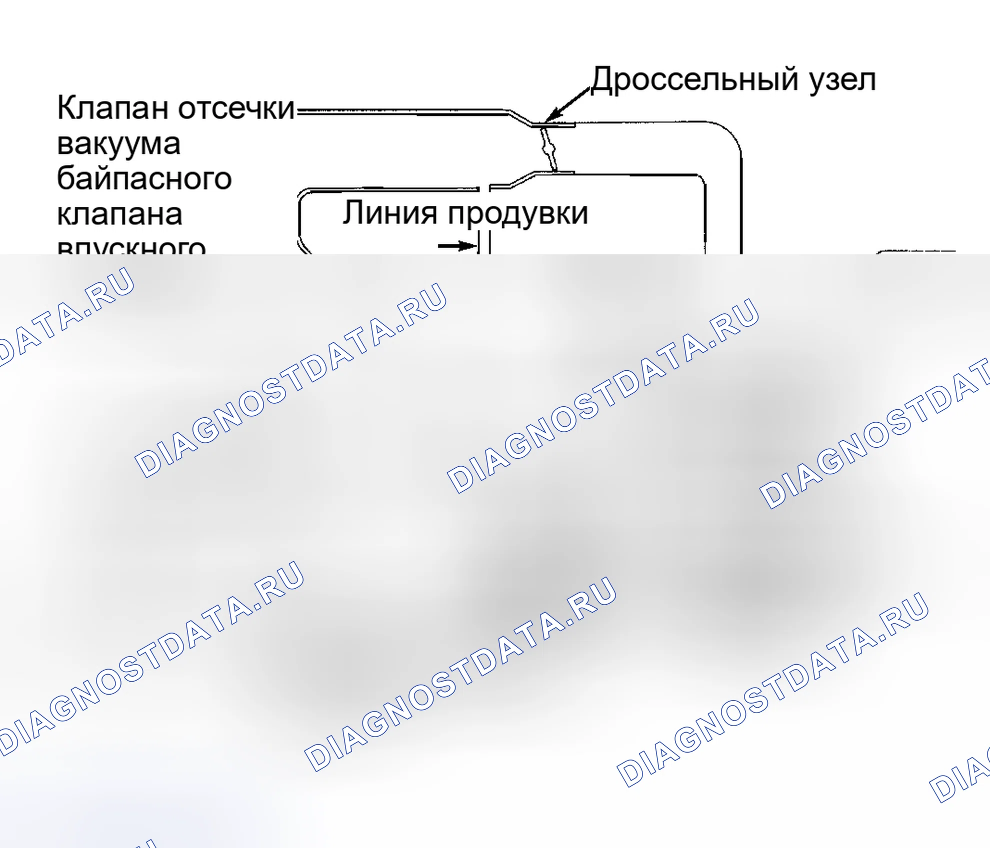 Рис. 5. Nissan Altima L30