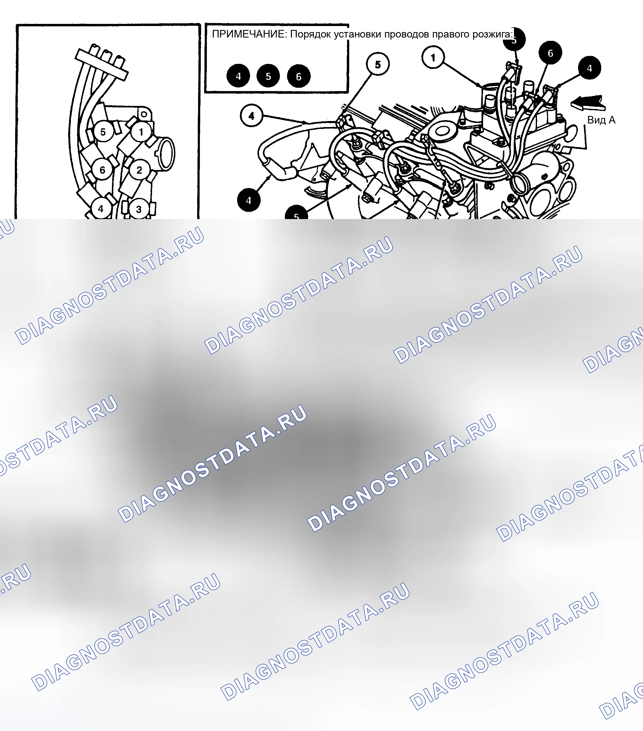 Рис. 9: Разводка проводов свечи зажигания (3.0L - Windstar). Hyundai Santa Cruz I