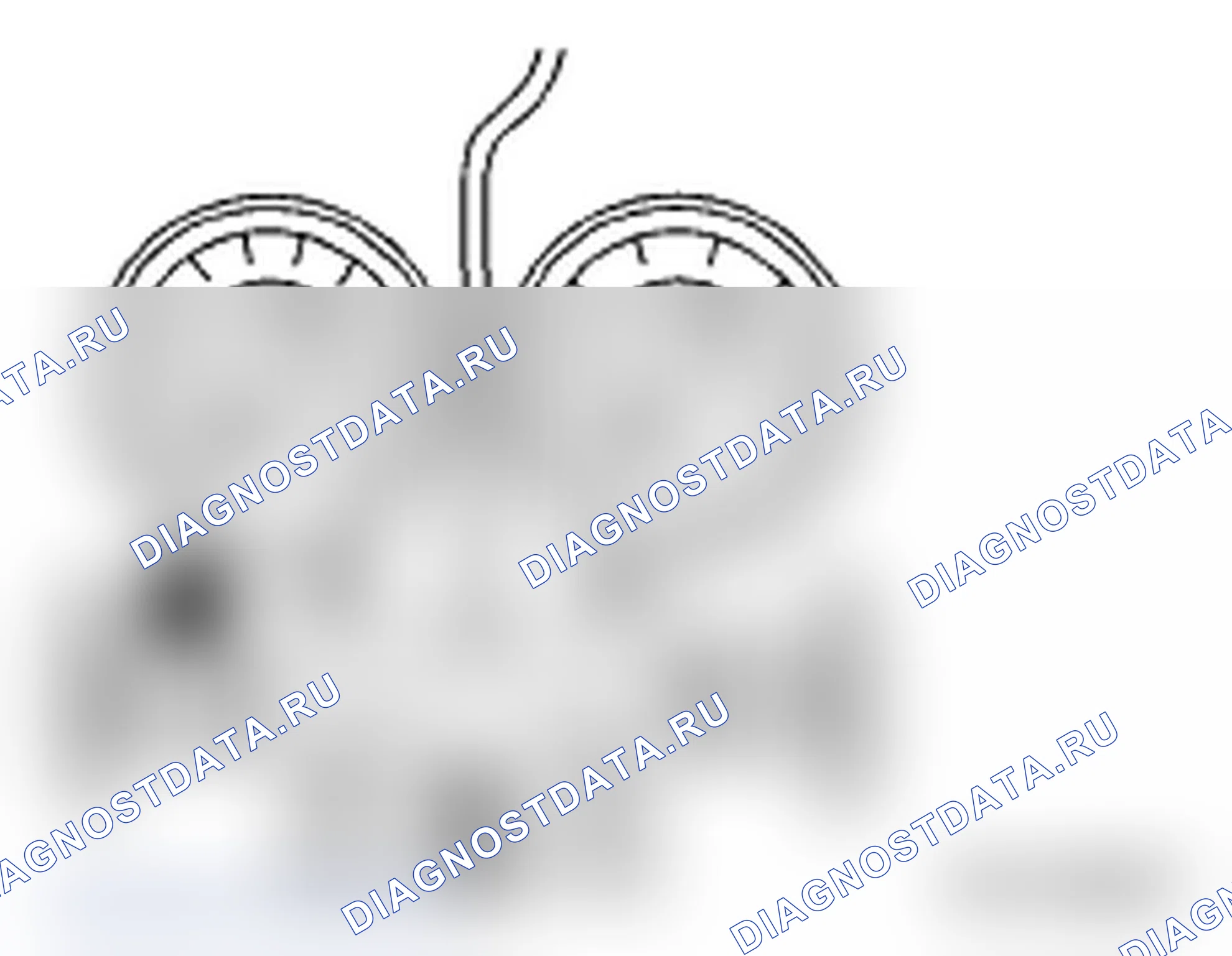 Рис. 63. Subaru Impreza WRX GD/GG рестайлинг 2