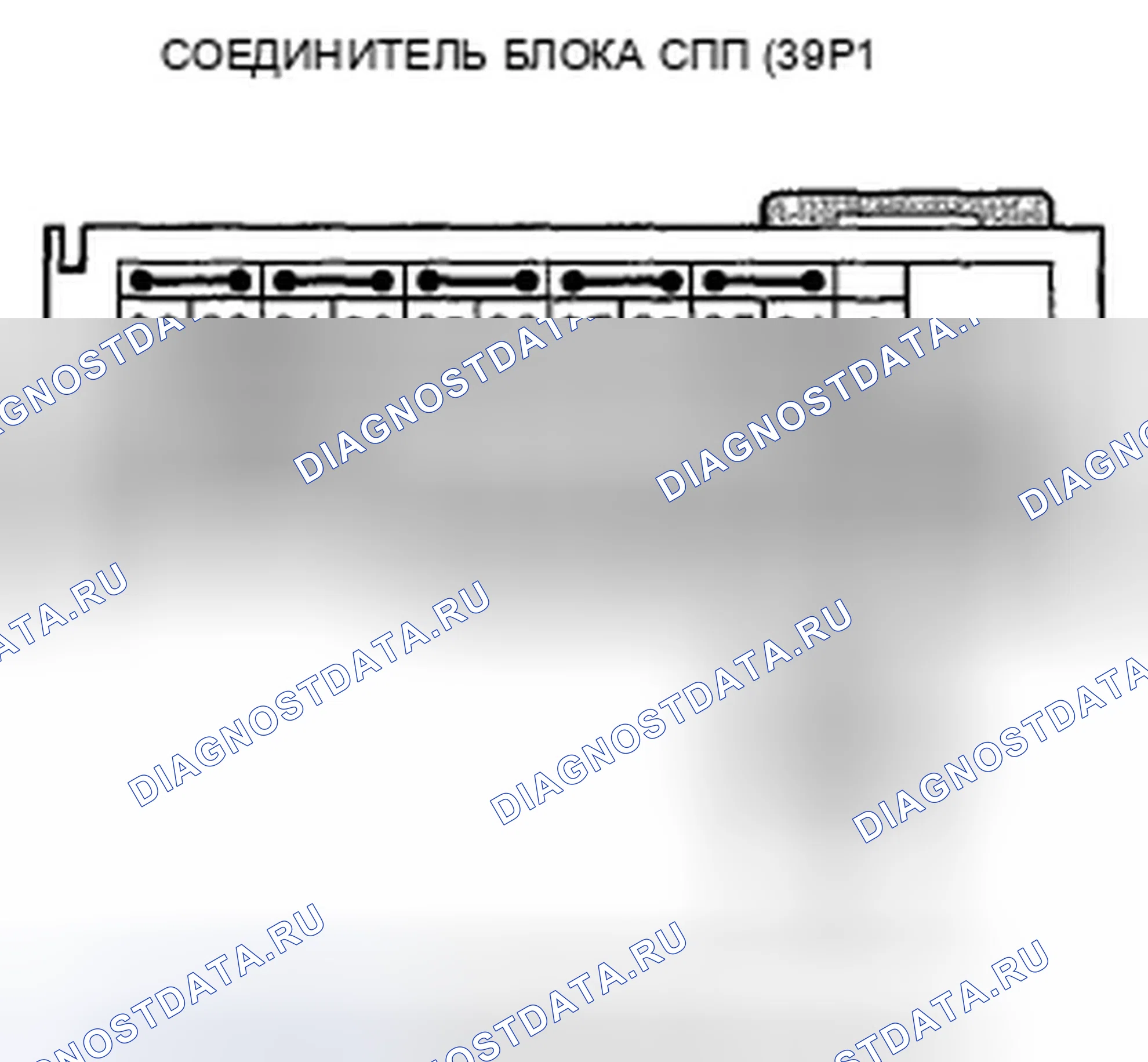 Рис. 80. Honda Crosstour I