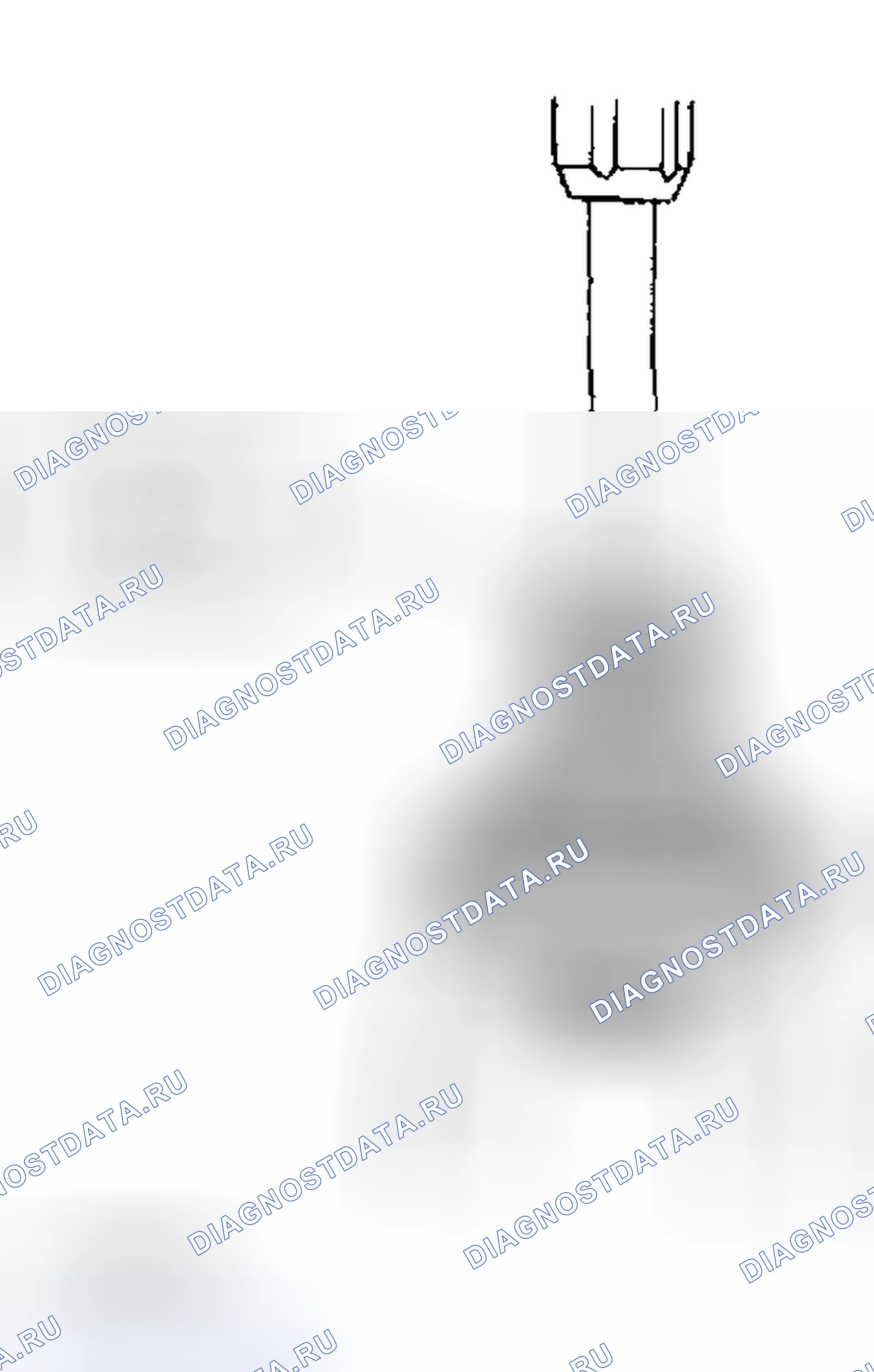 Рис. 66. Subaru Forester SG