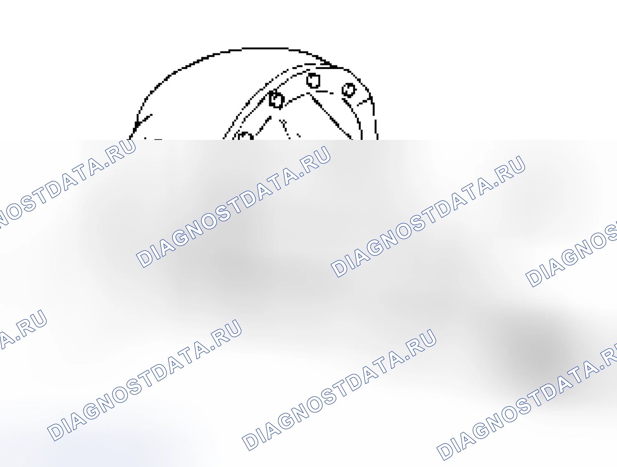 Рис. 57. Isuzu Axiom I