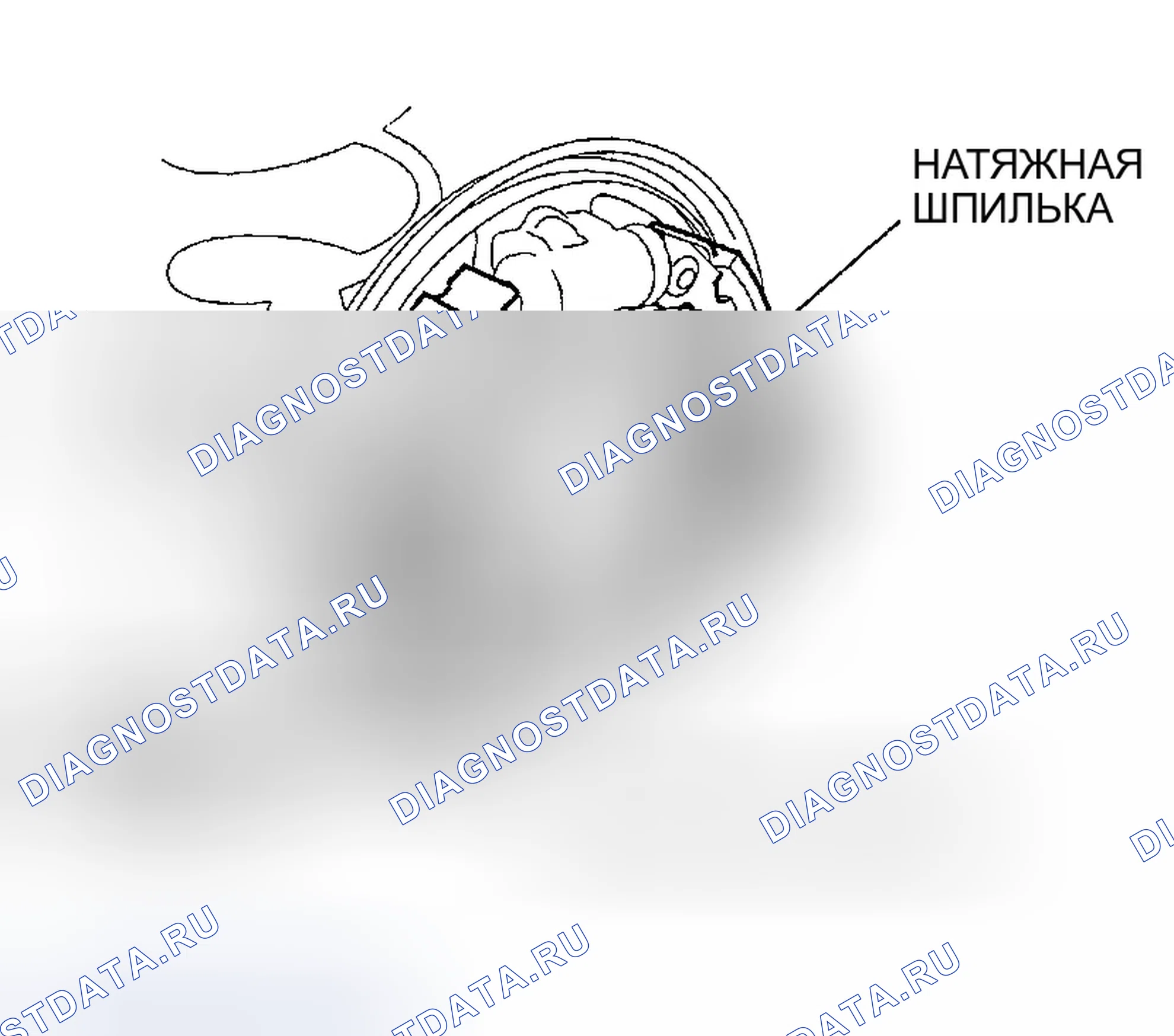 Рис. 42. Honda Insight ZE1