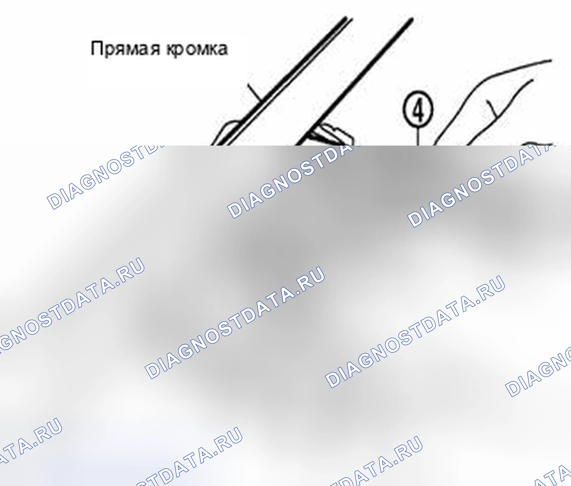 Рис. 51. Suzuki Equator I